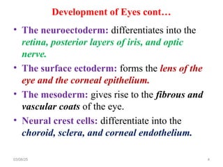 Neuroectoderm Development Embryological Development of eye eye.ppt