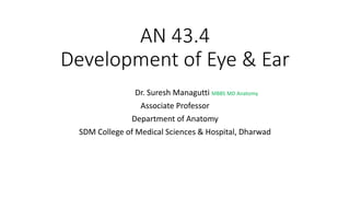 AN 43.4
Development of Eye & Ear
Dr. Suresh Managutti MBBS MD Anatomy
Associate Professor
Department of Anatomy
SDM College of Medical Sciences & Hospital, Dharwad
 