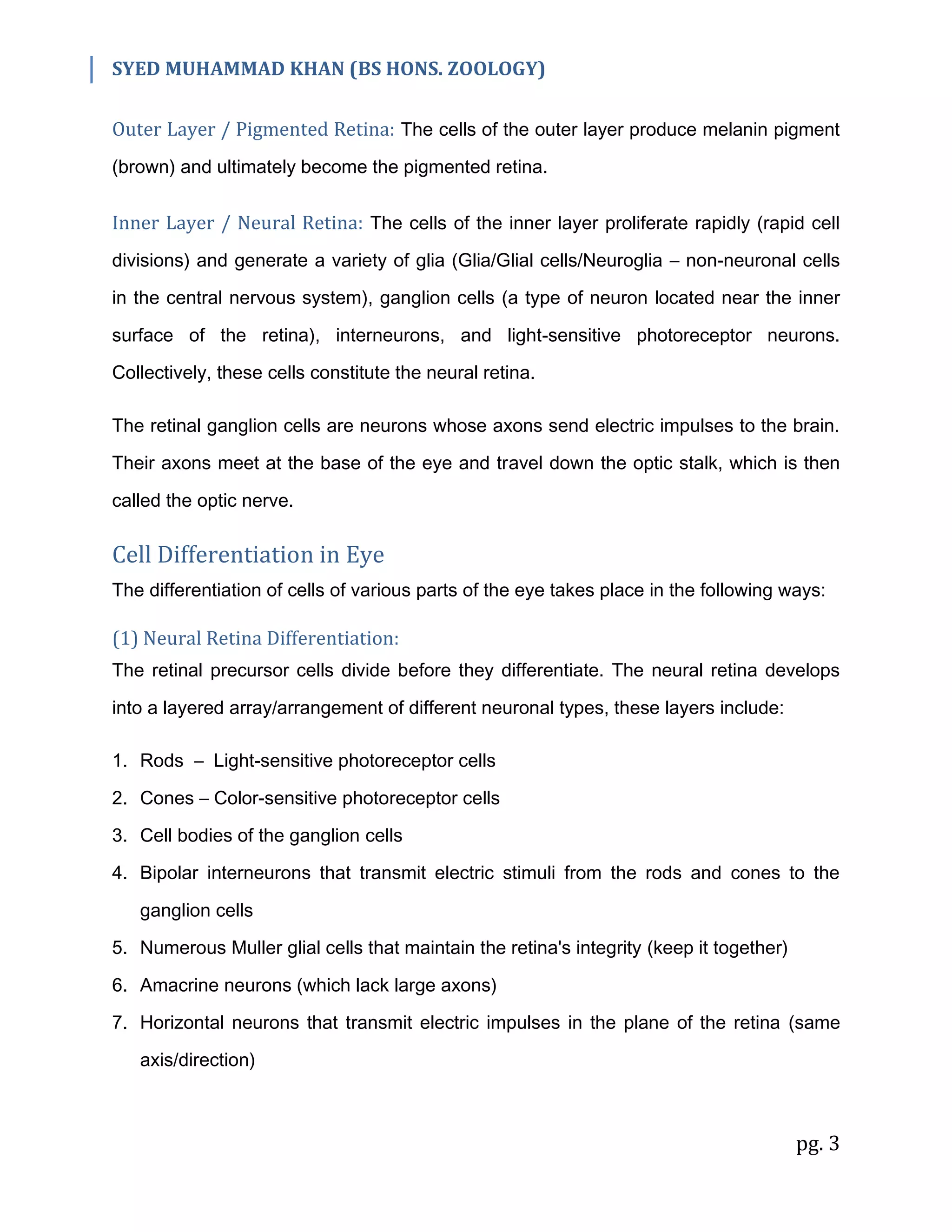 SYED MUHAMMAD KHAN (BS HONS. ZOOLOGY)
pg. 3
Outer Layer / Pigmented Retina: The cells of the outer layer produce melanin pigment
(brown) and ultimately become the pigmented retina.
Inner Layer / Neural Retina: The cells of the inner layer proliferate rapidly (rapid cell
divisions) and generate a variety of glia (Glia/Glial cells/Neuroglia – non-neuronal cells
in the central nervous system), ganglion cells (a type of neuron located near the inner
surface of the retina), interneurons, and light-sensitive photoreceptor neurons.
Collectively, these cells constitute the neural retina.
The retinal ganglion cells are neurons whose axons send electric impulses to the brain.
Their axons meet at the base of the eye and travel down the optic stalk, which is then
called the optic nerve.
Cell Differentiation in Eye
The differentiation of cells of various parts of the eye takes place in the following ways:
(1) Neural Retina Differentiation:
The retinal precursor cells divide before they differentiate. The neural retina develops
into a layered array/arrangement of different neuronal types, these layers include:
1. Rods – Light-sensitive photoreceptor cells
2. Cones – Color-sensitive photoreceptor cells
3. Cell bodies of the ganglion cells
4. Bipolar interneurons that transmit electric stimuli from the rods and cones to the
ganglion cells
5. Numerous Muller glial cells that maintain the retina's integrity (keep it together)
6. Amacrine neurons (which lack large axons)
7. Horizontal neurons that transmit electric impulses in the plane of the retina (same
axis/direction)
 