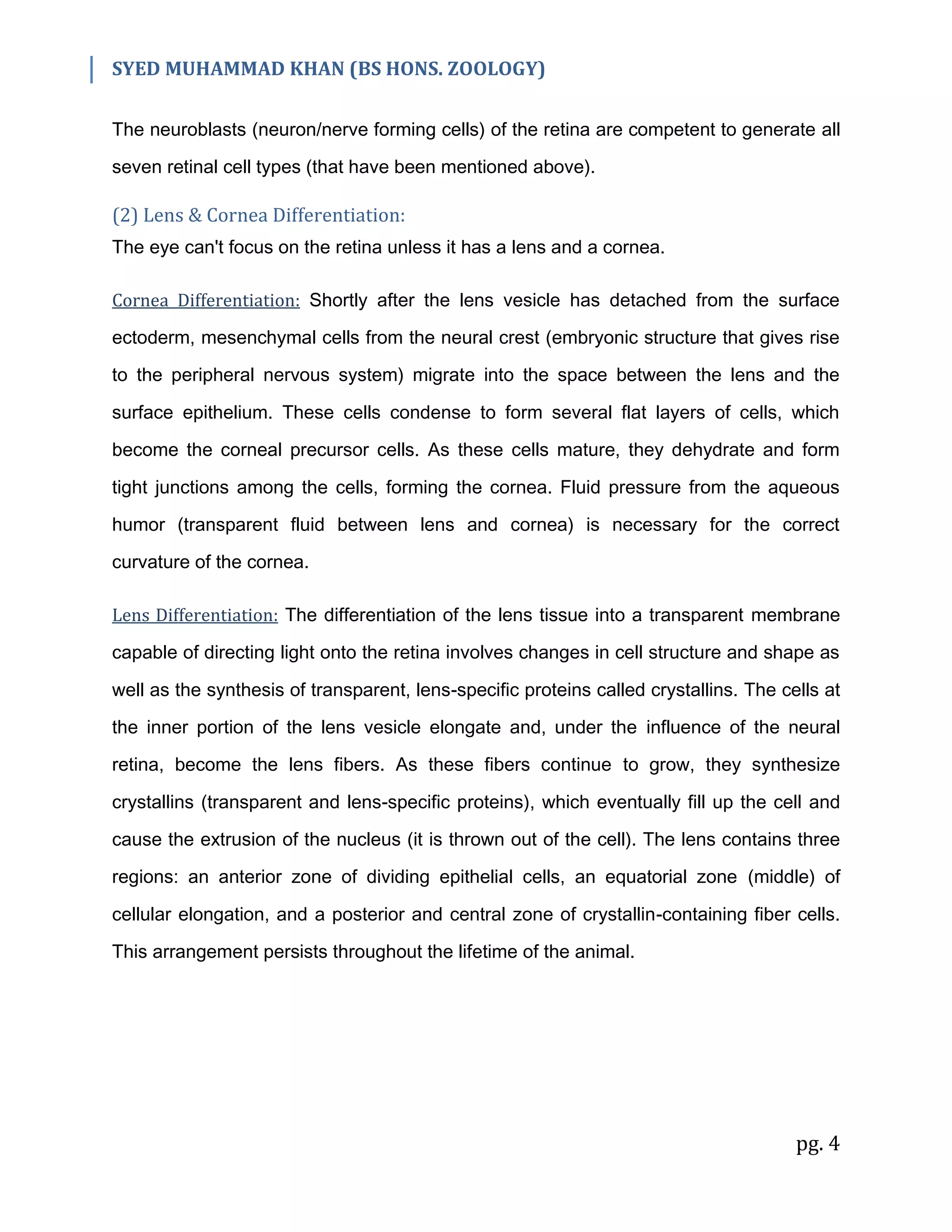 SYED MUHAMMAD KHAN (BS HONS. ZOOLOGY)
pg. 4
The neuroblasts (neuron/nerve forming cells) of the retina are competent to generate all
seven retinal cell types (that have been mentioned above).
(2) Lens & Cornea Differentiation:
The eye can't focus on the retina unless it has a lens and a cornea.
Cornea Differentiation: Shortly after the lens vesicle has detached from the surface
ectoderm, mesenchymal cells from the neural crest (embryonic structure that gives rise
to the peripheral nervous system) migrate into the space between the lens and the
surface epithelium. These cells condense to form several flat layers of cells, which
become the corneal precursor cells. As these cells mature, they dehydrate and form
tight junctions among the cells, forming the cornea. Fluid pressure from the aqueous
humor (transparent fluid between lens and cornea) is necessary for the correct
curvature of the cornea.
Lens Differentiation: The differentiation of the lens tissue into a transparent membrane
capable of directing light onto the retina involves changes in cell structure and shape as
well as the synthesis of transparent, lens-specific proteins called crystallins. The cells at
the inner portion of the lens vesicle elongate and, under the influence of the neural
retina, become the lens fibers. As these fibers continue to grow, they synthesize
crystallins (transparent and lens-specific proteins), which eventually fill up the cell and
cause the extrusion of the nucleus (it is thrown out of the cell). The lens contains three
regions: an anterior zone of dividing epithelial cells, an equatorial zone (middle) of
cellular elongation, and a posterior and central zone of crystallin-containing fiber cells.
This arrangement persists throughout the lifetime of the animal.
 