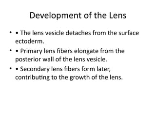 Embryonic Development of the Eye: Formation of Optic Vesicle and Lens ...