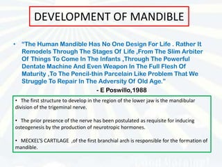 DEVELOPMENT OF MANDIBLE

• “The Human Mandible Has No One Design For Life . Rather It
  Remodels Through The Stages Of Life ,From The Slim Arbiter
  Of Things To Come In The Infants ,Through The Powerful
  Dentate Machine And Even Weapon In The Full Flesh Of
  Maturity ,To The Pencil-thin Parcelain Like Problem That We
  Struggle To Repair In The Adversity Of Old Age.”
                            - E Poswillo,1988
• The first structure to develop in the region of the lower jaw is the mandibular
division of the trigeminal nerve.

• The prior presence of the nerve has been postulated as requisite for inducing
osteogenesis by the production of neurotropic hormones.

• MECKEL’S CARTILAGE ,of the first branchial arch is responsible for the formation of
mandible.
 
