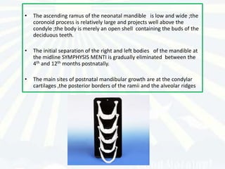 •   The ascending ramus of the neonatal mandible is low and wide ;the
    coronoid process is relatively large and projects well above the
    condyle ;the body is merely an open shell containing the buds of the
    deciduous teeth.

•   The initial separation of the right and left bodies of the mandible at
    the midline SYMPHYSIS MENTI is gradually eliminated between the
    4th and 12th months postnatally.

•   The main sites of postnatal mandibular growth are at the condylar
    cartilages ,the posterior borders of the ramii and the alveolar ridges
 
