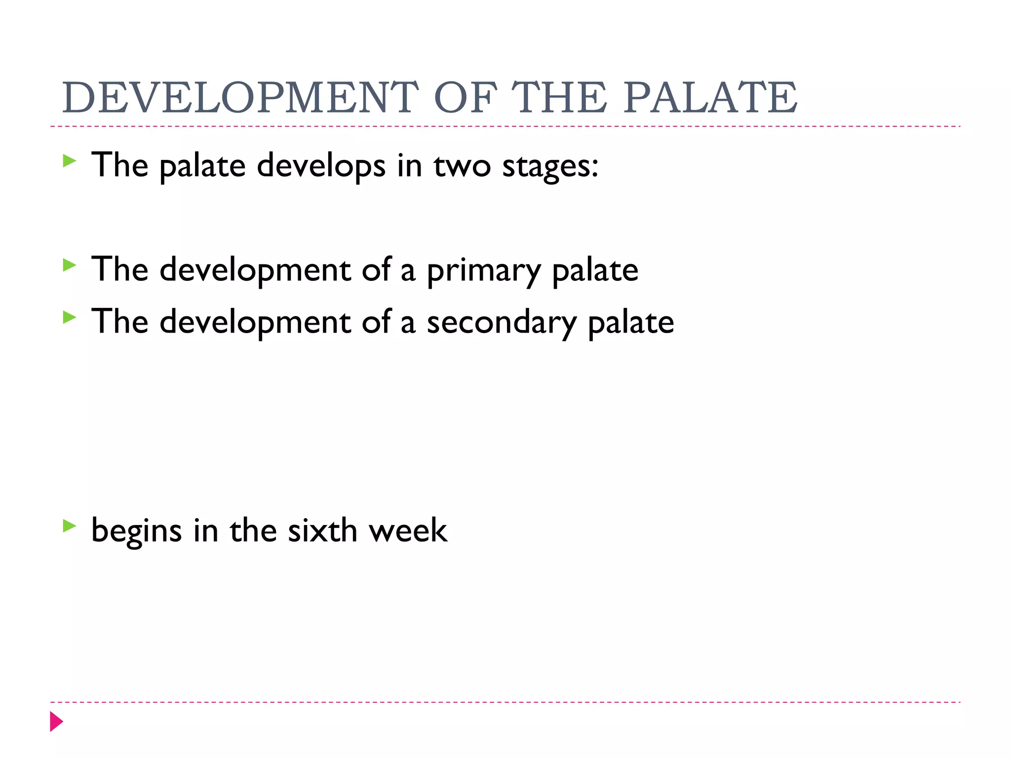 DEVELOPMENT OF THE PALATE


The palate develops in two stages:




The development of a primary palate
The development of a secondary palate



begins in the sixth week

 
