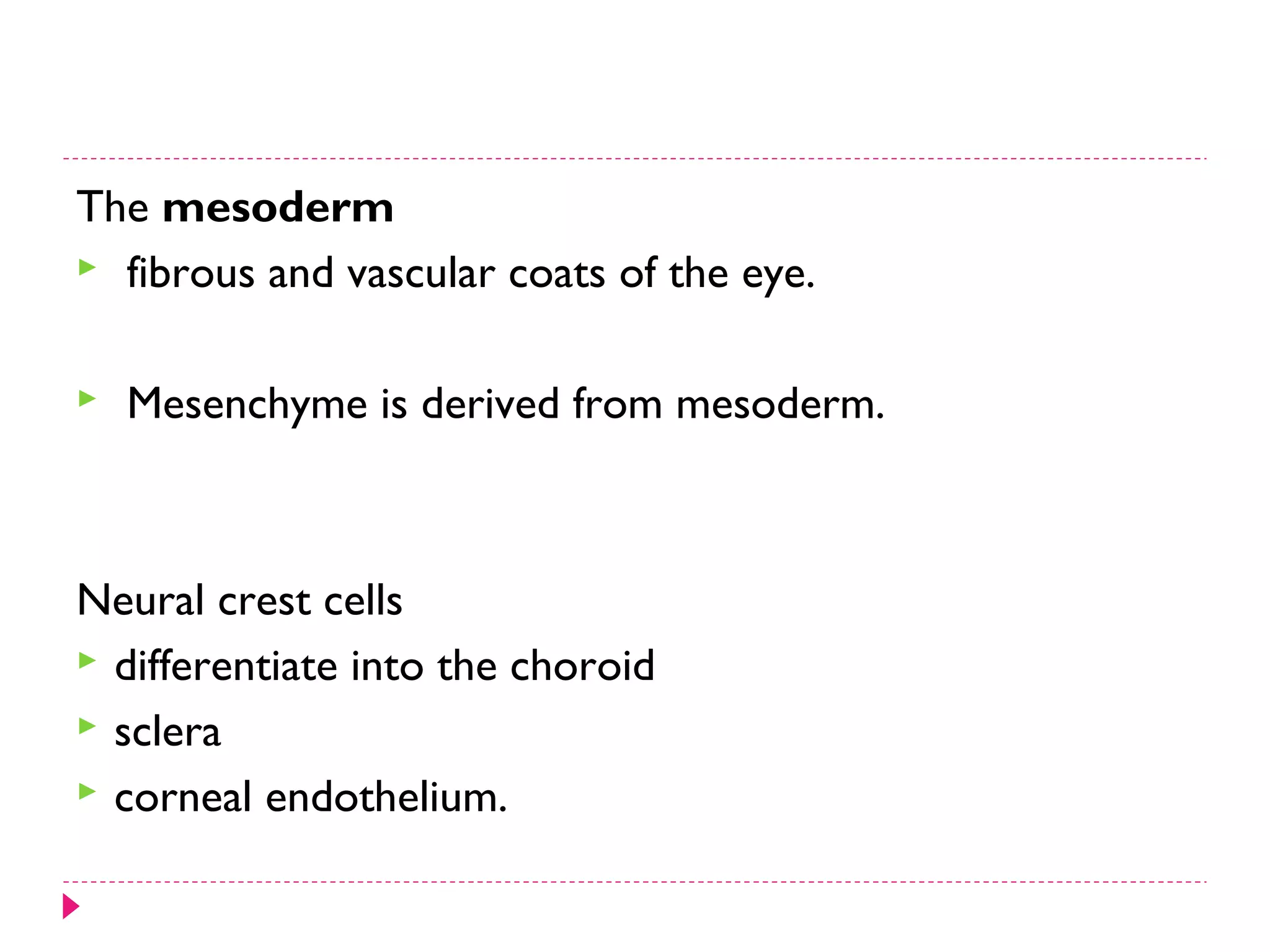 The mesoderm
 fibrous and vascular coats of the eye.


Mesenchyme is derived from mesoderm.

Neural crest cells
 differentiate into the choroid
 sclera
 corneal endothelium.

 