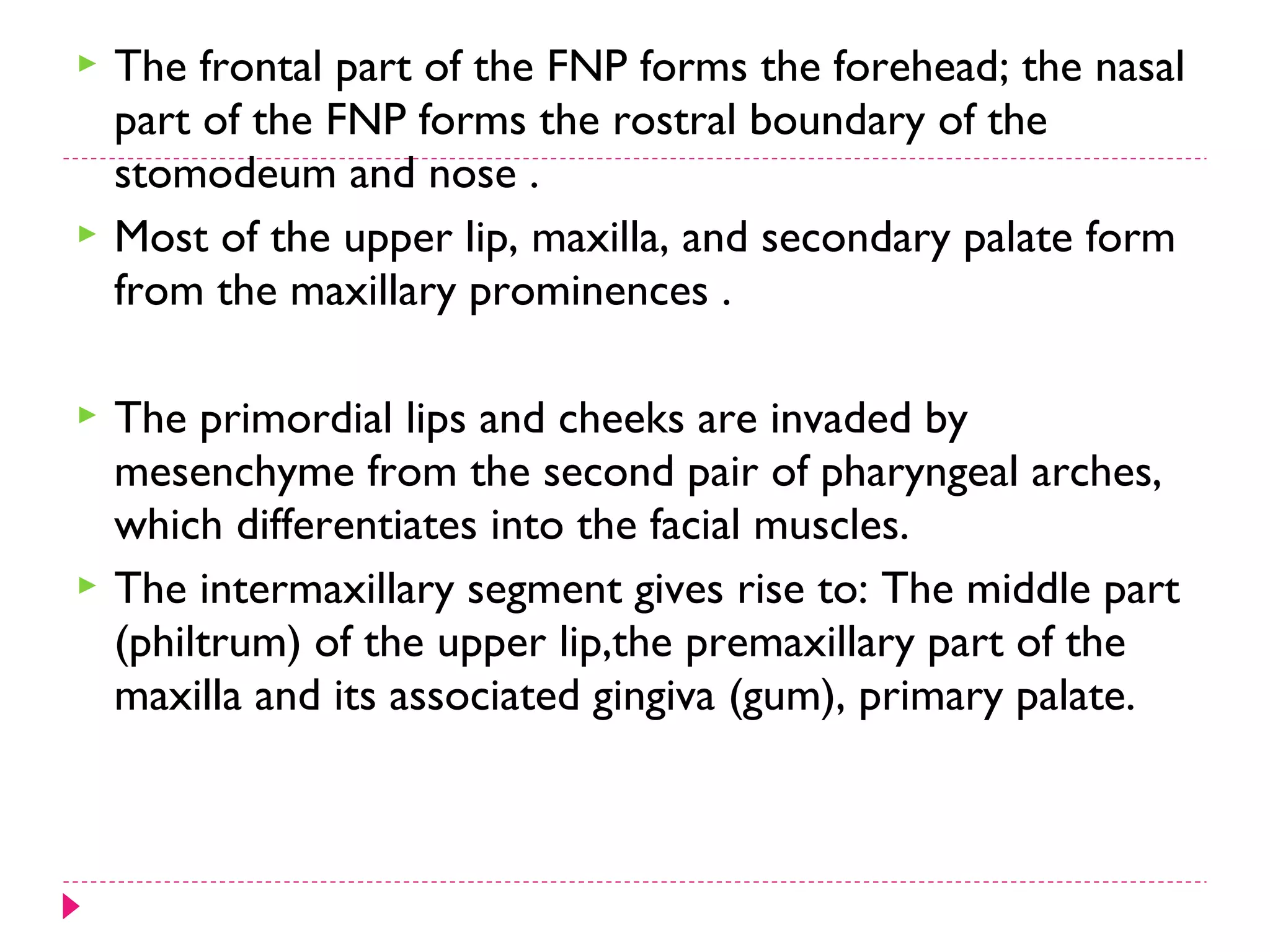 







The frontal part of the FNP forms the forehead; the nasal
part of the FNP forms the rostral boundary of the
stomodeum and nose .
Most of the upper lip, maxilla, and secondary palate form
from the maxillary prominences .
The primordial lips and cheeks are invaded by
mesenchyme from the second pair of pharyngeal arches,
which differentiates into the facial muscles.
The intermaxillary segment gives rise to: The middle part
(philtrum) of the upper lip,the premaxillary part of the
maxilla and its associated gingiva (gum), primary palate.

 