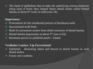 Defects of teeth
Size Related
 Microdontia
 Macrodontia
Shape related cusp
 Gemination
 Twinning
 Fusion
 Concrscens...