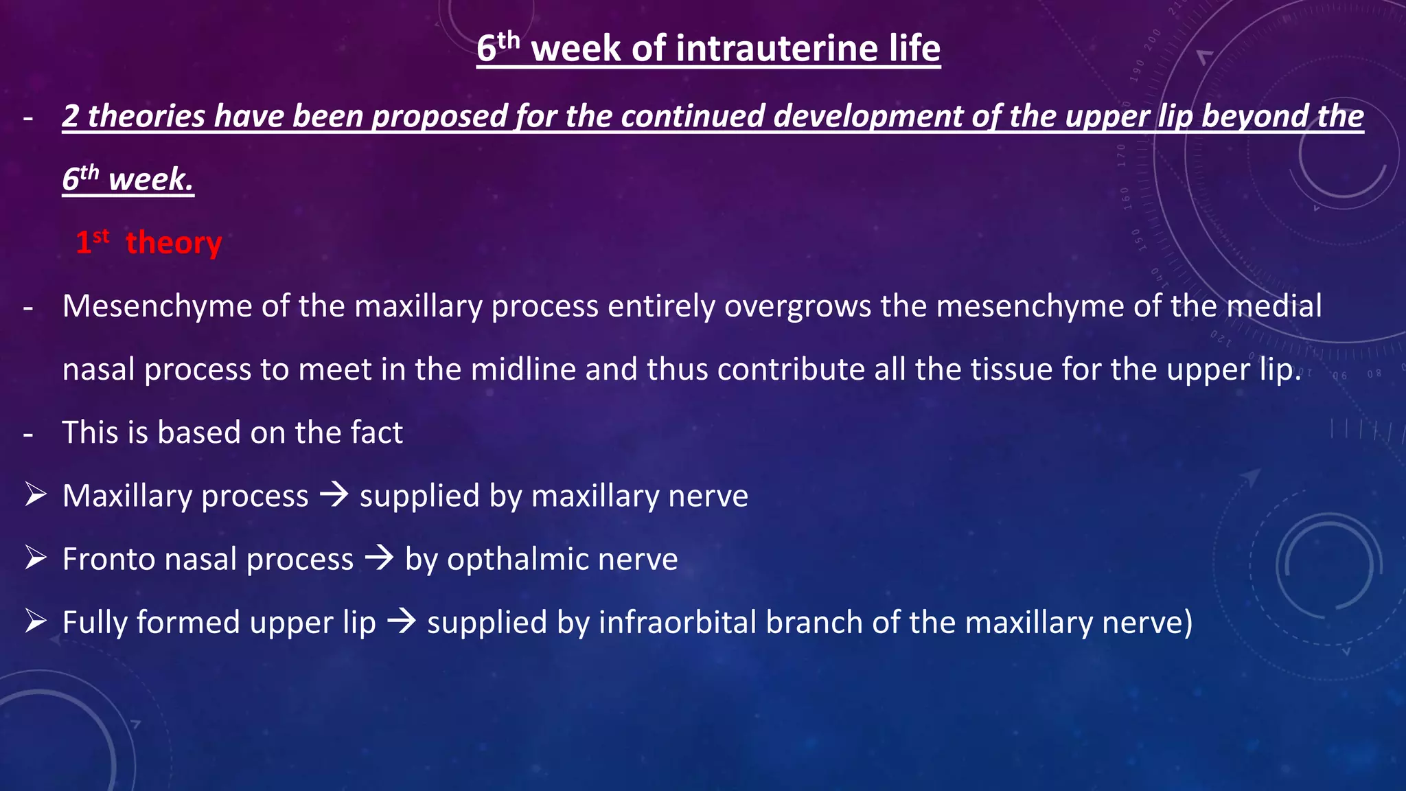 6th week of intrauterine life
- 2 theories have been proposed for the continued development of the upper lip beyond the
6th week.
1st theory
- Mesenchyme of the maxillary process entirely overgrows the mesenchyme of the medial
nasal process to meet in the midline and thus contribute all the tissue for the upper lip.
- This is based on the fact
 Maxillary process  supplied by maxillary nerve
 Fronto nasal process  by opthalmic nerve
 Fully formed upper lip  supplied by infraorbital branch of the maxillary nerve)
 
