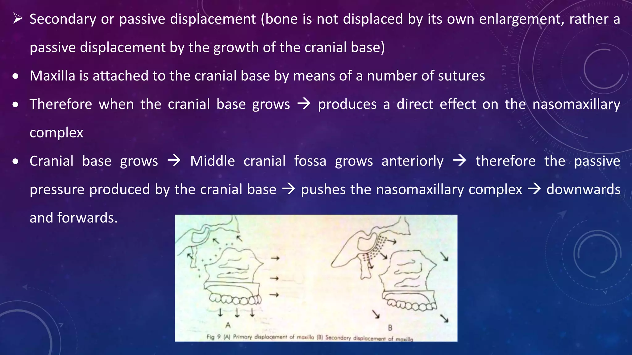  Secondary or passive displacement (bone is not displaced by its own enlargement, rather a
passive displacement by the growth of the cranial base)
 Maxilla is attached to the cranial base by means of a number of sutures
 Therefore when the cranial base grows  produces a direct effect on the nasomaxillary
complex
 Cranial base grows  Middle cranial fossa grows anteriorly  therefore the passive
pressure produced by the cranial base  pushes the nasomaxillary complex  downwards
and forwards.
 