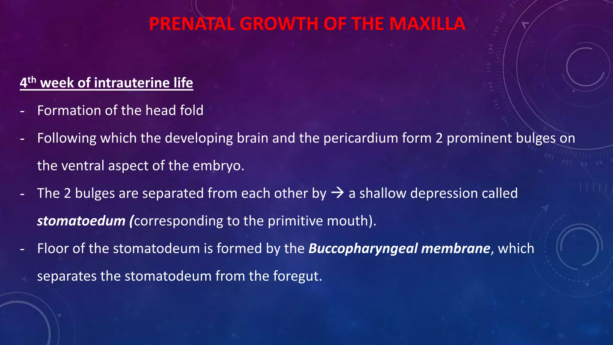 PRENATAL GROWTH OF THE MAXILLA
4th week of intrauterine life
- Formation of the head fold
- Following which the developing brain and the pericardium form 2 prominent bulges on
the ventral aspect of the embryo.
- The 2 bulges are separated from each other by  a shallow depression called
stomatoedum (corresponding to the primitive mouth).
- Floor of the stomatodeum is formed by the Buccopharyngeal membrane, which
separates the stomatodeum from the foregut.
 