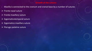 Growth at the sutures
- Maxilla is connected to the cranium and cranial base by a number of sutures
 Fronto nasal suture
 Fronto maxillary suture
 Zygomaticotemporal suture
 Zygomatico maxillary suture
 Pterygo palatine suture
 