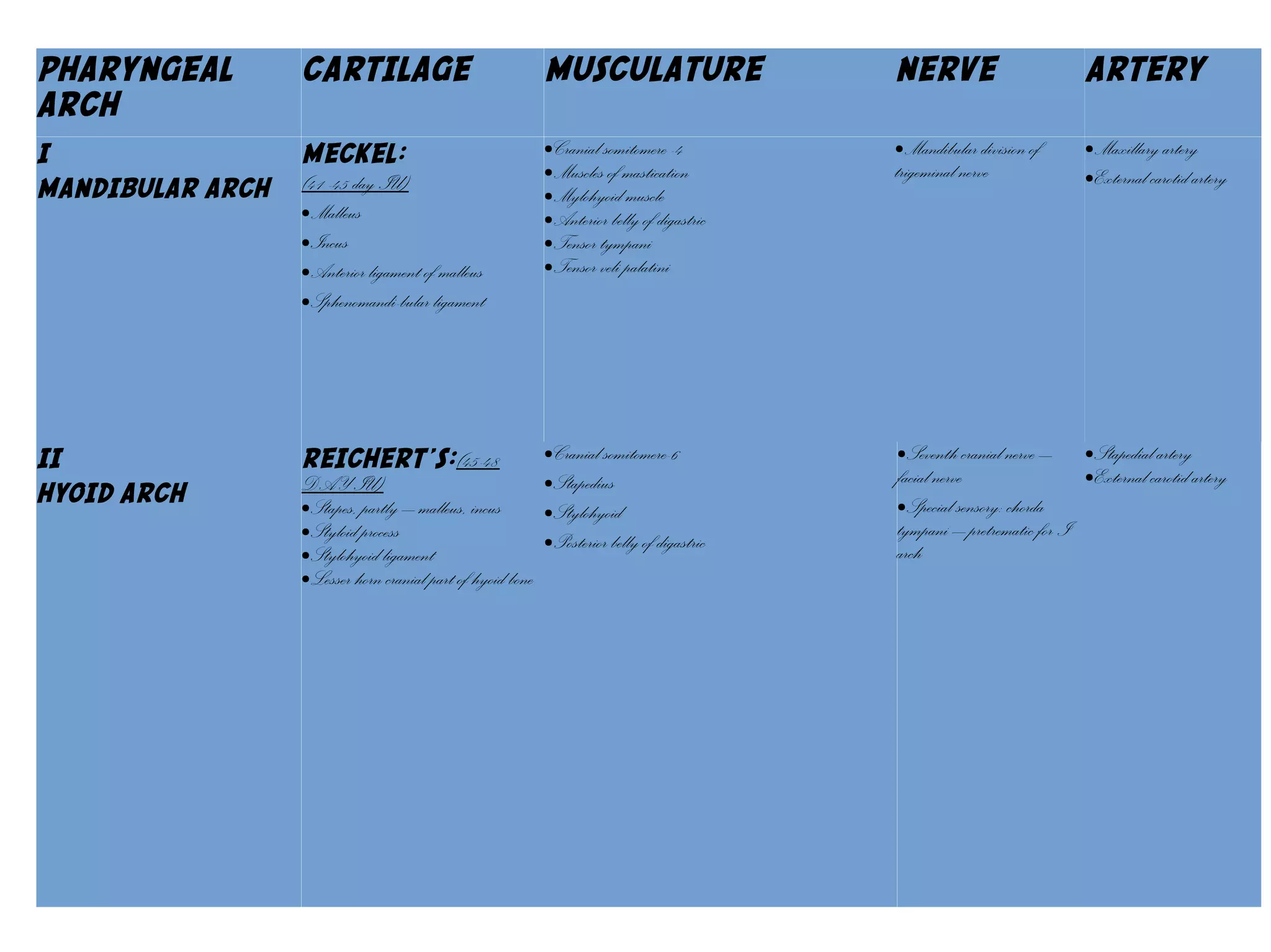 II.
HYOID ARCH
REICHERT’S:
(45-48 DAY IU)
Stapes, partly – malleus, incus,
styloid process, stylohyoid lig, lesser
horn and cranial part of hyoid bone
Cranial somitomere-6
Stapedius, stylohyoid, post. Belly of digastric
Seventh cranial N –
facial N
Spec. sensory:
chorda tympani –
pretrematic for Iarch
Stapedial A
ECA
PHARYNGEAL
ARCH
CARTILAGE MUSCULATURE NERVE ARTERY
I
MANDIBULAR ARCH
MECKEL:
(41 -45 day IU)
●Malleus
●Incus
●Anterior ligament of malleus
●Sphenomandi-bular ligament
●Cranial somitomere -4
●Muscles of mastication
●Mylohyoid muscle
●Anterior belly of digastric
●Tensor tympani
●Tensor veli palatini
●Mandibular division of
trigeminal nerve
●Maxillary artery
●External carotid artery
II
HYOID ARCH
REICHERT’S:(45-48
DAY IU)
●Stapes, partly – malleus, incus
●Styloid process
●Stylohyoid ligament
●Lesser horn cranial part of hyoid bone
●Cranial somitomere-6
●Stapedius
●Stylohyoid
●Posterior belly of digastric
●Seventh cranial nerve –
facial nerve
●Special sensory: chorda
tympani – pretrematic for I
arch
●Stapedial artery
●External carotid artery
 