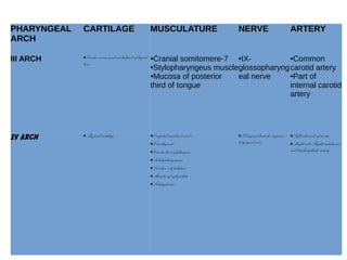 PHARYNGEAL
ARCH
CARTILAGE MUSCULATURE NERVE ARTERY
III ARCH ●Greater cornu and caudal part of hyoid
bone
●Cranial somitomere-7
●Stylopharyngeus muscle
●Mucosa of posterior
third of tongue
●IX-
glossopharyng
eal nerve
●Common
carotid artery
●Part of
internal carotid
artery
IV ARCH ●Thyroid cartilage ●Occipital somites-2 and 4
●Cricothyroid
●Constrictors of pharynx
●Palatopharyngeus
●Levator veli palatini
●Muscles of soft palate
●Palatoglossus
●X(vagus) branch- superior
laryngeal nerve
●Left side-arch of aorta
●Right side-Right subclavian
and brachicephalic artery
 
