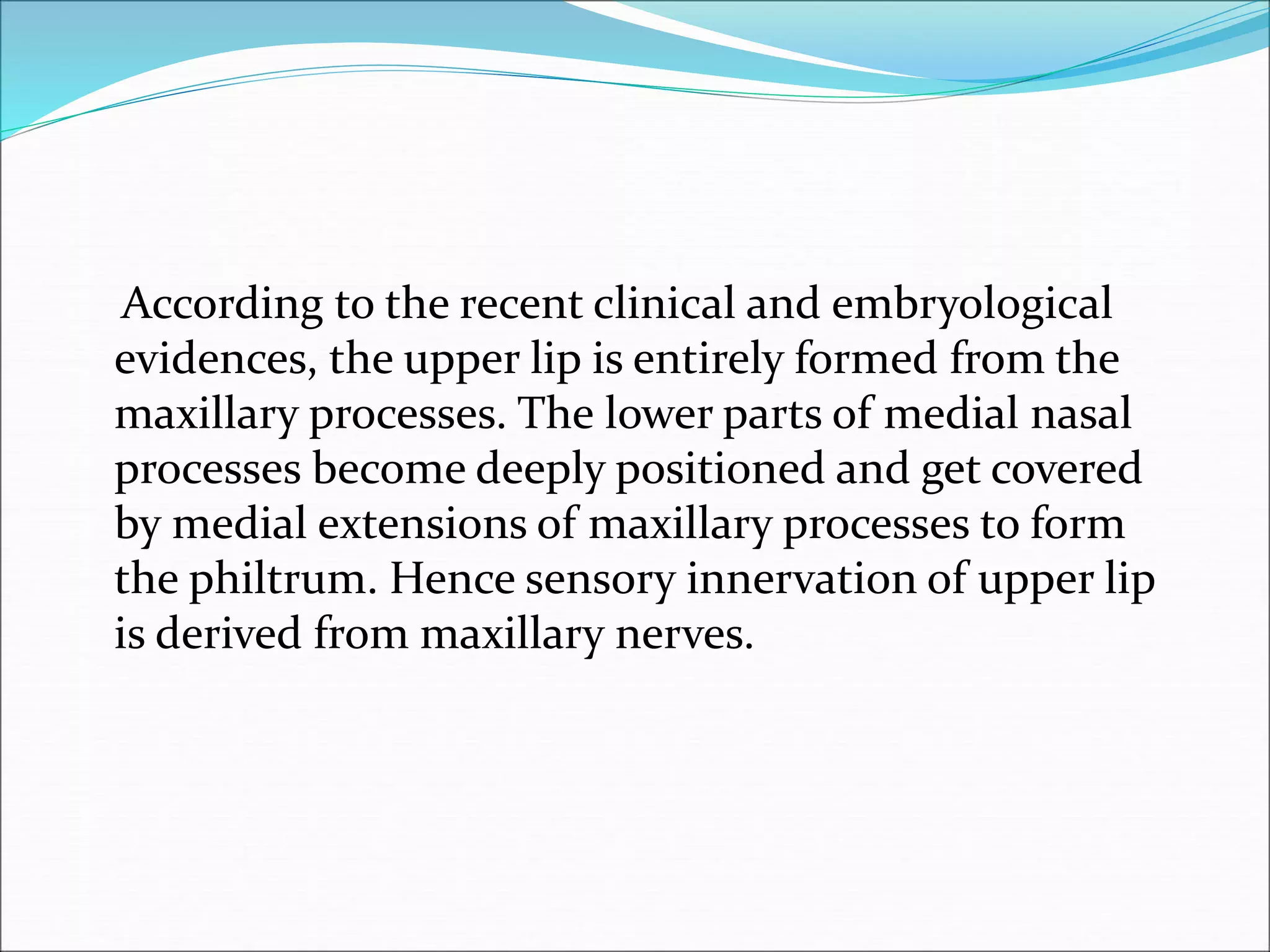 According to the recent clinical and embryological
evidences, the upper lip is entirely formed from the
maxillary processes. The lower parts of medial nasal
processes become deeply positioned and get covered
by medial extensions of maxillary processes to form
the philtrum. Hence sensory innervation of upper lip
is derived from maxillary nerves.
 
