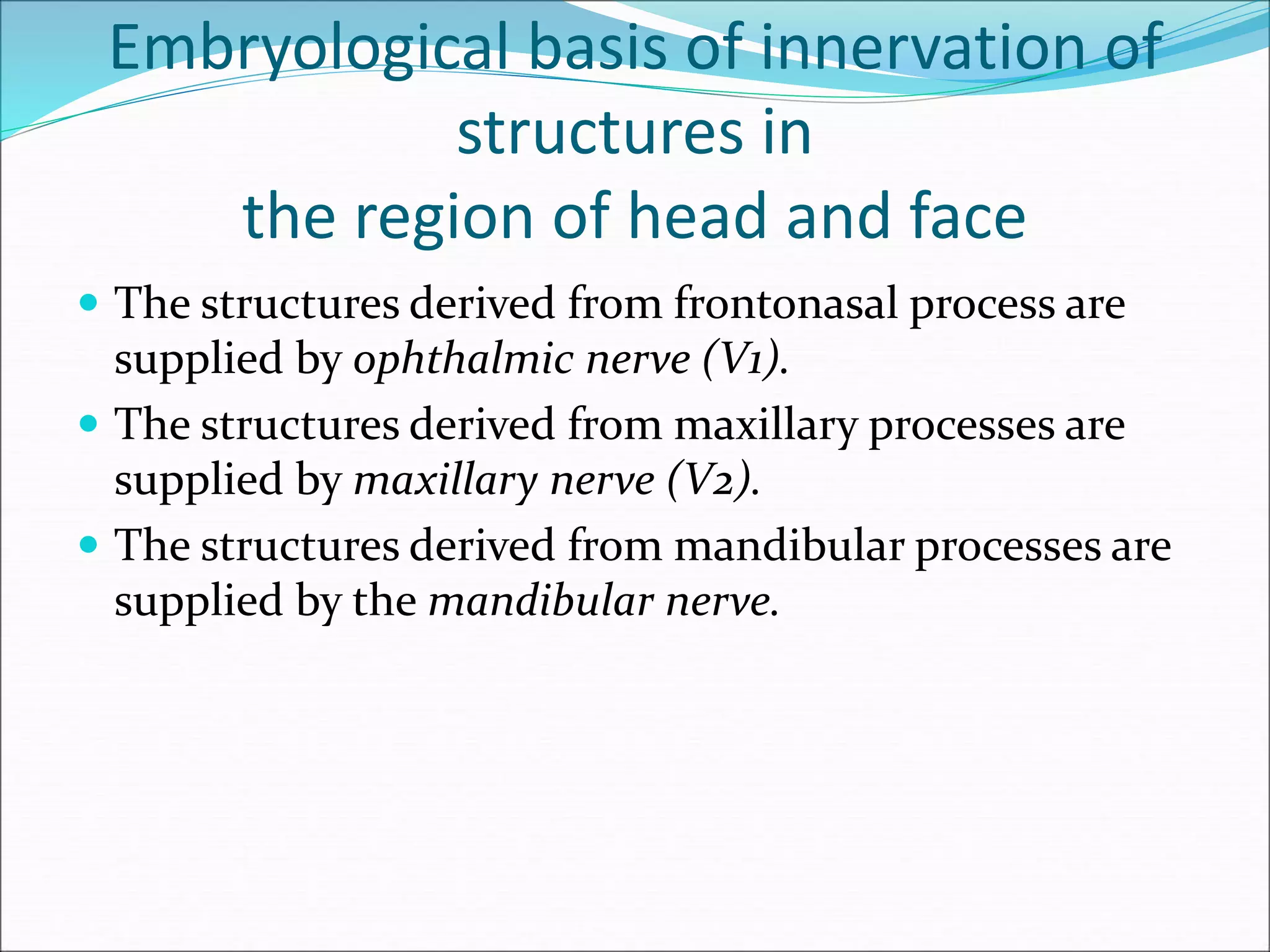 Embryological basis of innervation of
structures in
the region of head and face
 The structures derived from frontonasal process are
supplied by ophthalmic nerve (V1).
 The structures derived from maxillary processes are
supplied by maxillary nerve (V2).
 The structures derived from mandibular processes are
supplied by the mandibular nerve.
 