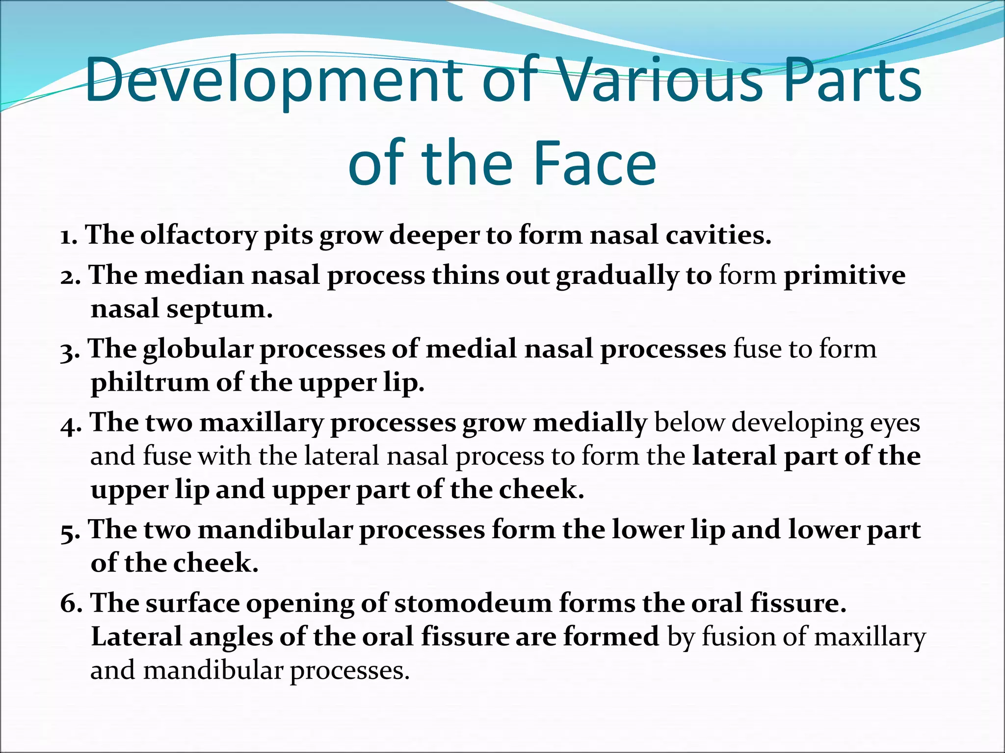 Development of Various Parts
of the Face
1. The olfactory pits grow deeper to form nasal cavities.
2. The median nasal process thins out gradually to form primitive
nasal septum.
3. The globular processes of medial nasal processes fuse to form
philtrum of the upper lip.
4. The two maxillary processes grow medially below developing eyes
and fuse with the lateral nasal process to form the lateral part of the
upper lip and upper part of the cheek.
5. The two mandibular processes form the lower lip and lower part
of the cheek.
6. The surface opening of stomodeum forms the oral fissure.
Lateral angles of the oral fissure are formed by fusion of maxillary
and mandibular processes.
 