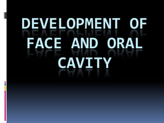 DEVELOPMENT OF
 FACE AND ORAL
     CAVITY
 