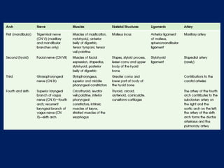 DEVELOPMENT OF FACE AND ORAL CAVITY.pptx