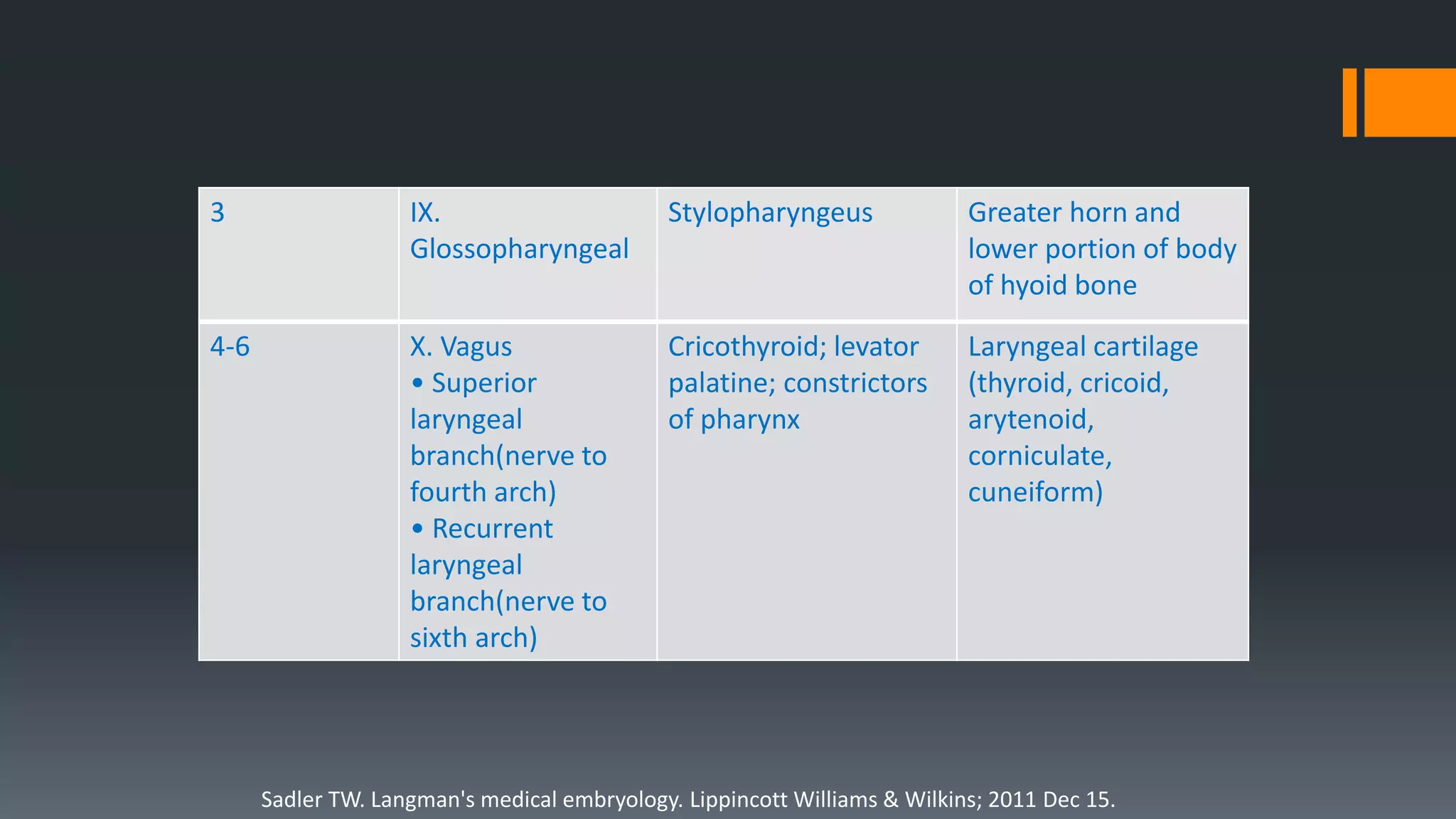 3 IX.
Glossopharyngeal
Stylopharyngeus Greater horn and
lower portion of body
of hyoid bone
4-6 X. Vagus
• Superior
laryngeal
branch(nerve to
fourth arch)
• Recurrent
laryngeal
branch(nerve to
sixth arch)
Cricothyroid; levator
palatine; constrictors
of pharynx
Laryngeal cartilage
(thyroid, cricoid,
arytenoid,
corniculate,
cuneiform)
Sadler TW. Langman's medical embryology. Lippincott Williams & Wilkins; 2011 Dec 15.
 