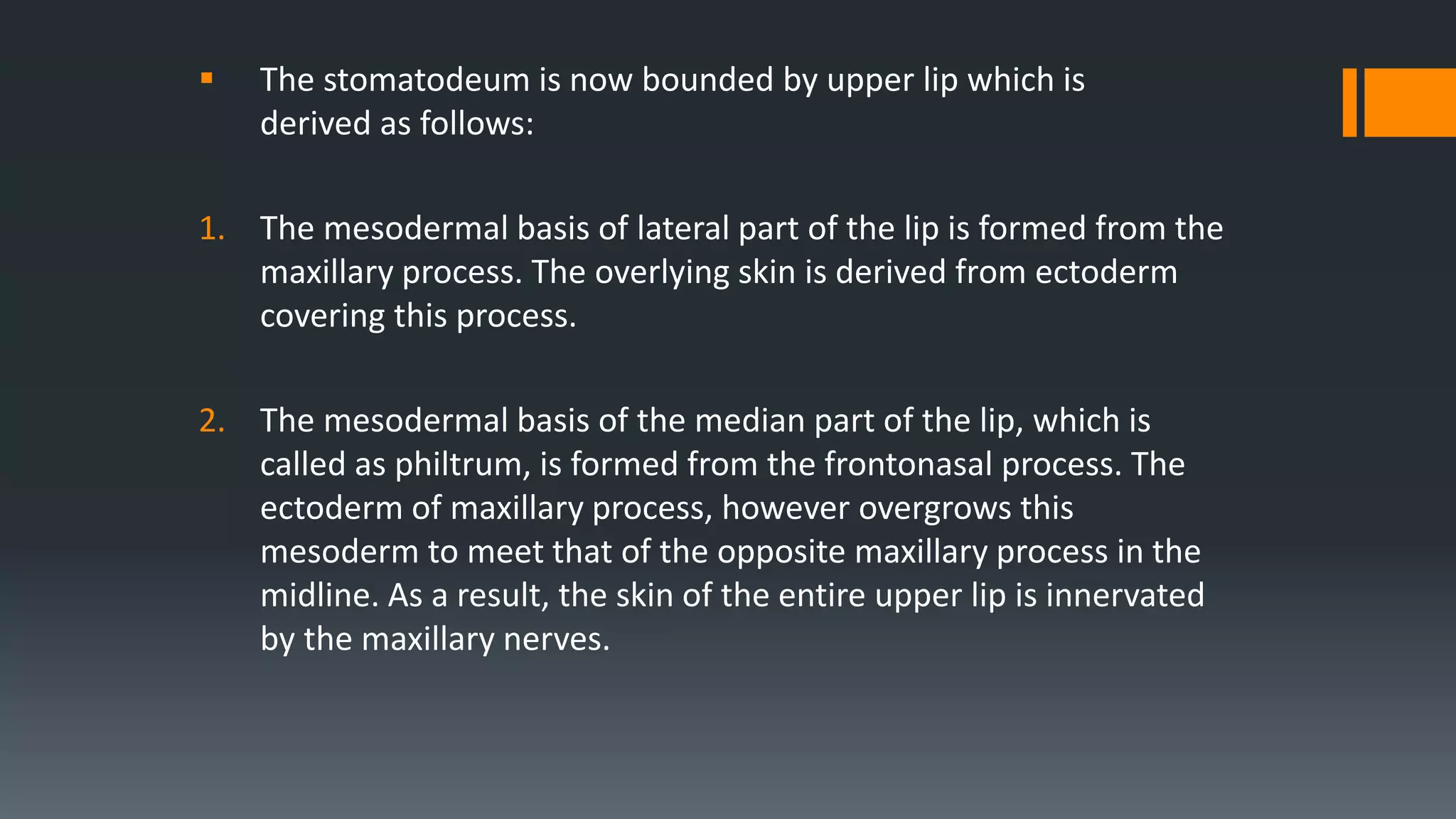  The stomatodeum is now bounded by upper lip which is
derived as follows:
1. The mesodermal basis of lateral part of the lip is formed from the
maxillary process. The overlying skin is derived from ectoderm
covering this process.
2. The mesodermal basis of the median part of the lip, which is
called as philtrum, is formed from the frontonasal process. The
ectoderm of maxillary process, however overgrows this
mesoderm to meet that of the opposite maxillary process in the
midline. As a result, the skin of the entire upper lip is innervated
by the maxillary nerves.
 