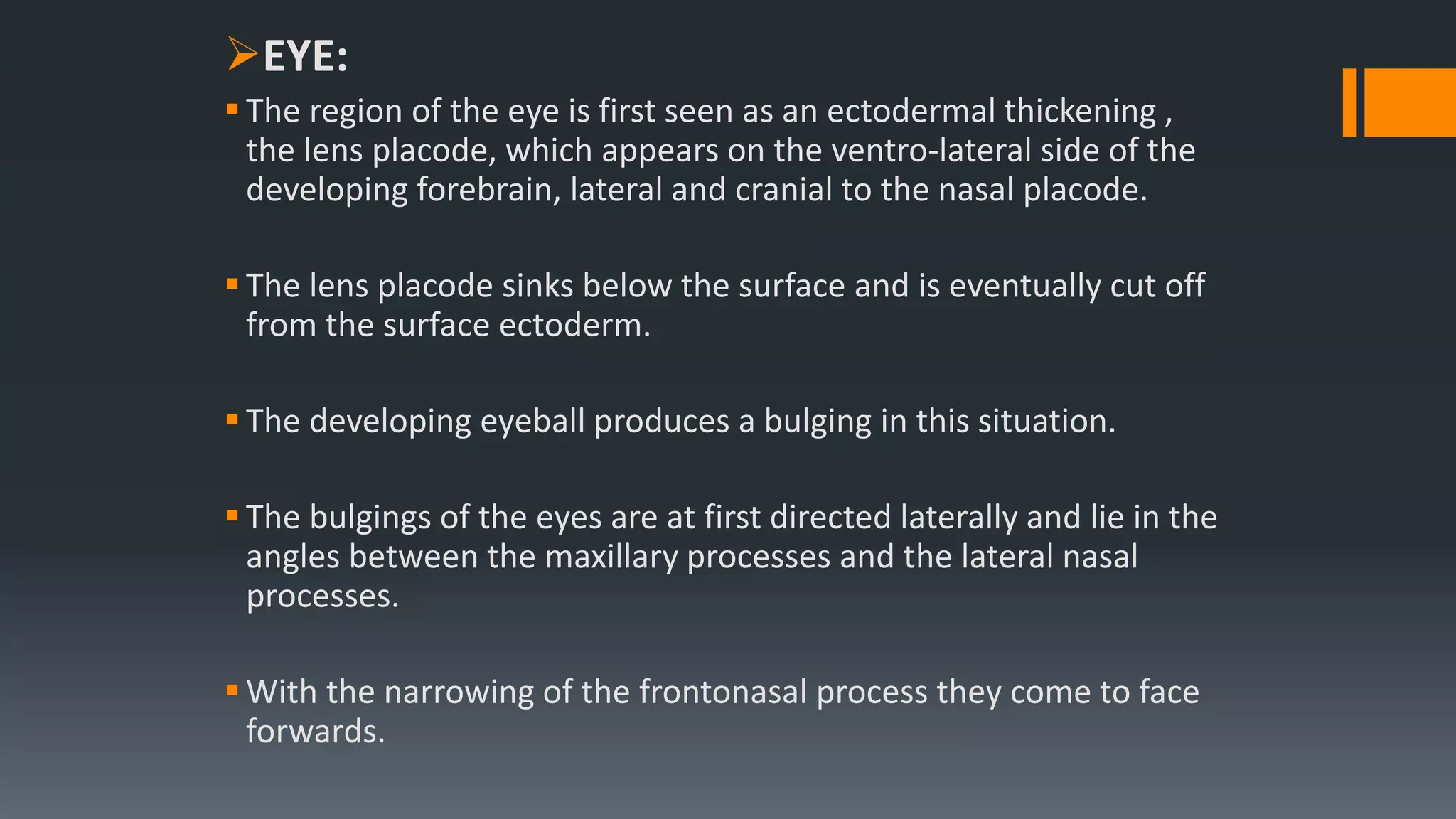 EYE:
The region of the eye is first seen as an ectodermal thickening ,
the lens placode, which appears on the ventro-lateral side of the
developing forebrain, lateral and cranial to the nasal placode.
The lens placode sinks below the surface and is eventually cut off
from the surface ectoderm.
The developing eyeball produces a bulging in this situation.
The bulgings of the eyes are at first directed laterally and lie in the
angles between the maxillary processes and the lateral nasal
processes.
With the narrowing of the frontonasal process they come to face
forwards.
 