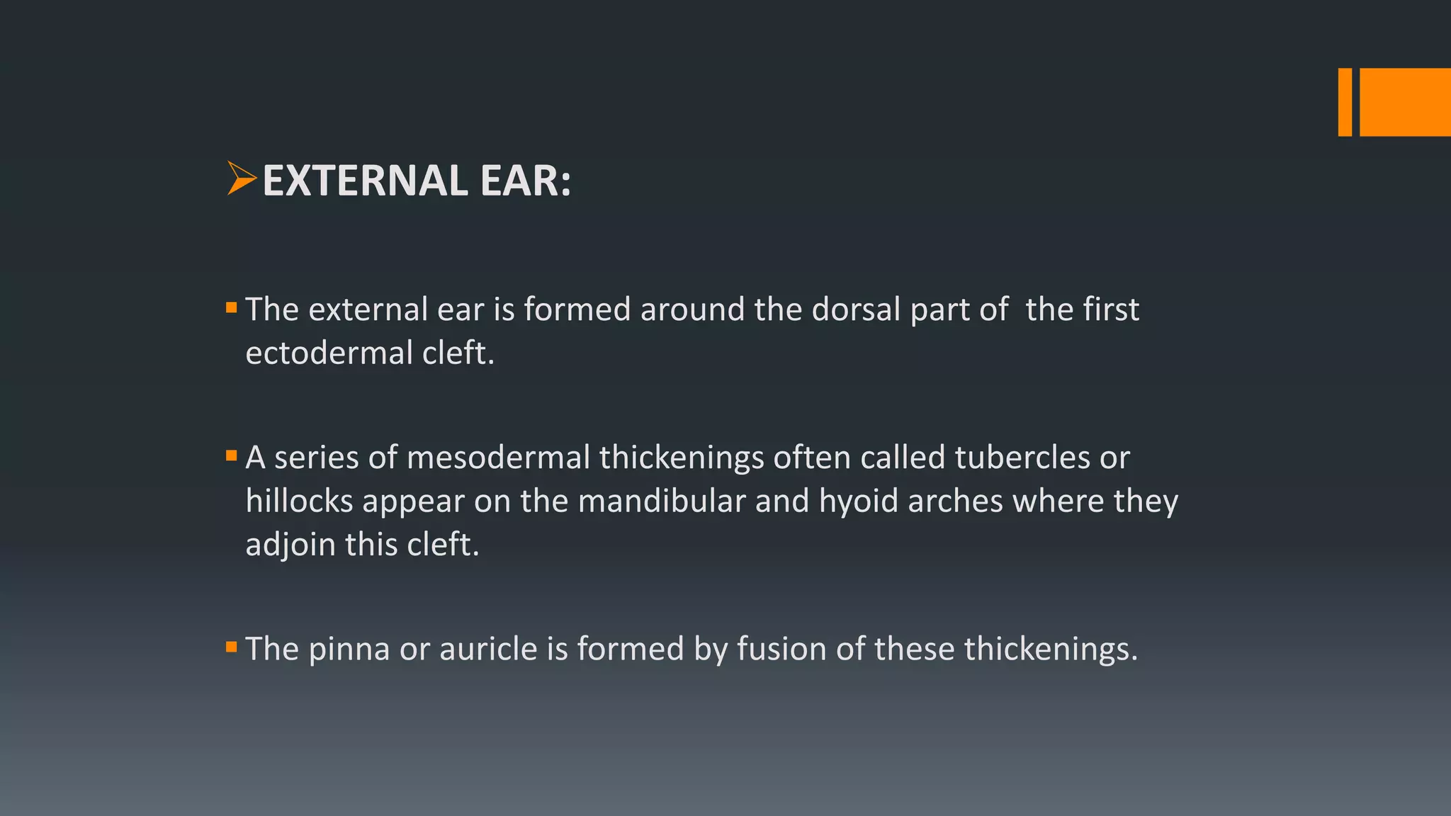 EXTERNAL EAR:
The external ear is formed around the dorsal part of the first
ectodermal cleft.
A series of mesodermal thickenings often called tubercles or
hillocks appear on the mandibular and hyoid arches where they
adjoin this cleft.
The pinna or auricle is formed by fusion of these thickenings.
 