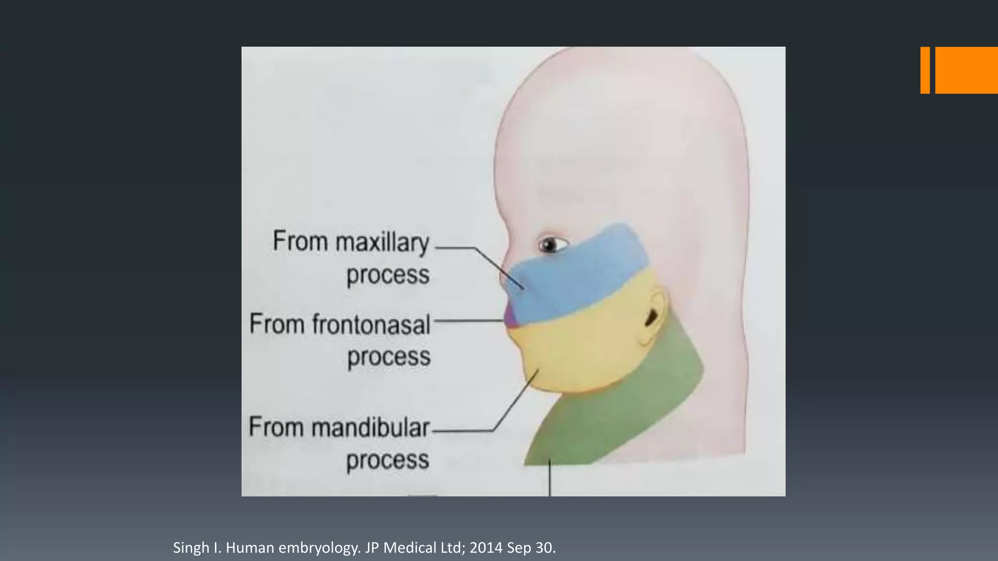Singh I. Human embryology. JP Medical Ltd; 2014 Sep 30.
 