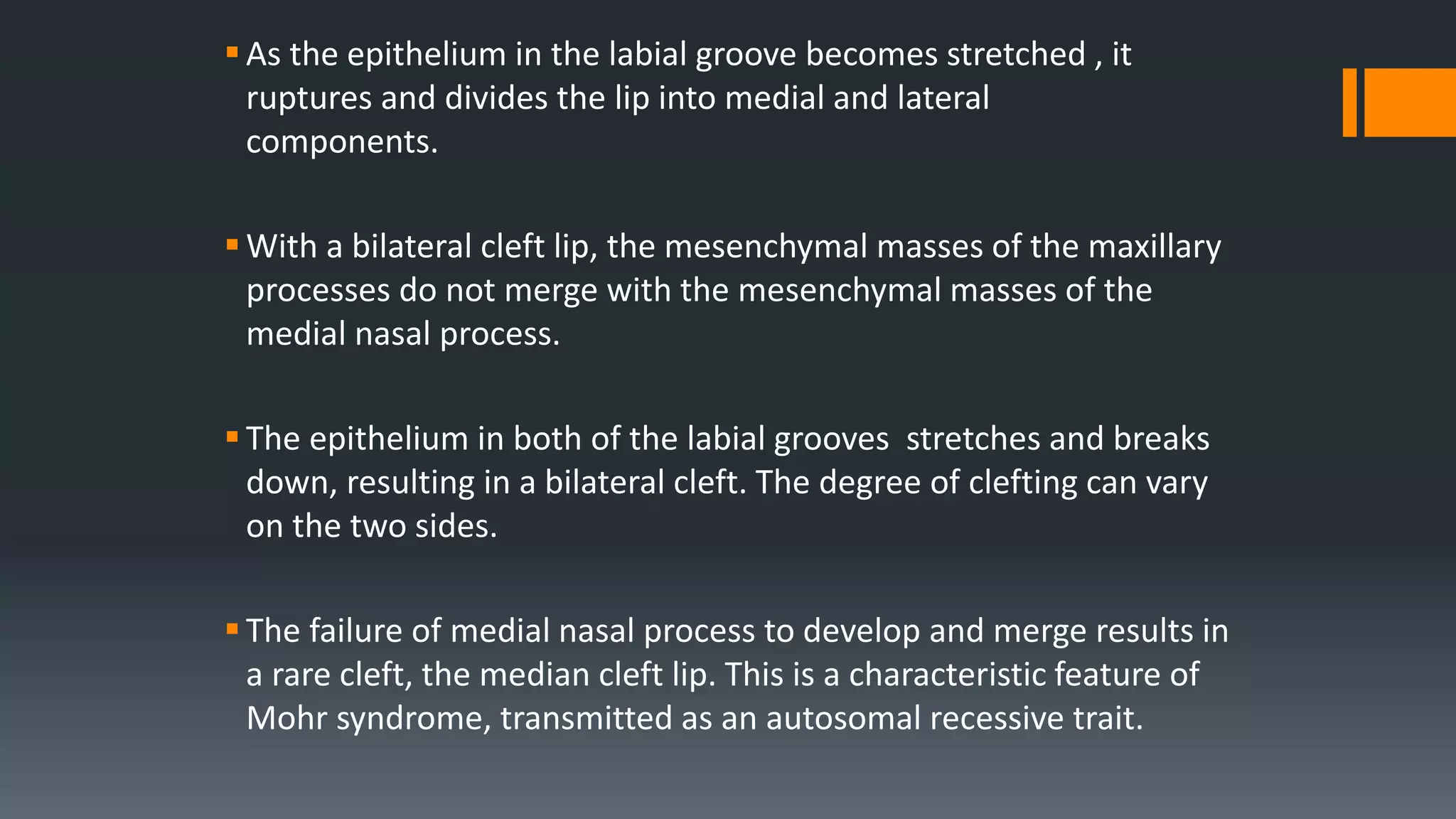 As the epithelium in the labial groove becomes stretched , it
ruptures and divides the lip into medial and lateral
components.
With a bilateral cleft lip, the mesenchymal masses of the maxillary
processes do not merge with the mesenchymal masses of the
medial nasal process.
The epithelium in both of the labial grooves stretches and breaks
down, resulting in a bilateral cleft. The degree of clefting can vary
on the two sides.
The failure of medial nasal process to develop and merge results in
a rare cleft, the median cleft lip. This is a characteristic feature of
Mohr syndrome, transmitted as an autosomal recessive trait.
 