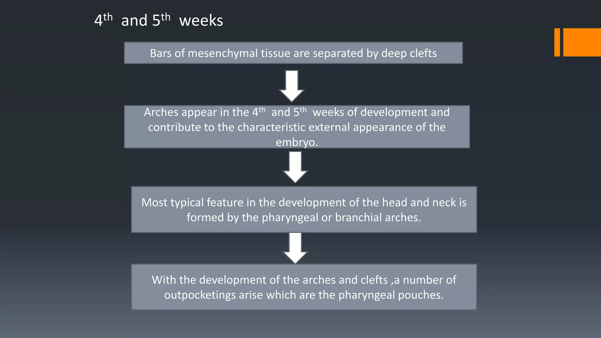 4th and 5th weeks
Bars of mesenchymal tissue are separated by deep clefts
Arches appear in the 4th and 5th weeks of development and
contribute to the characteristic external appearance of the
embryo.
Most typical feature in the development of the head and neck is
formed by the pharyngeal or branchial arches.
With the development of the arches and clefts ,a number of
outpocketings arise which are the pharyngeal pouches.
 