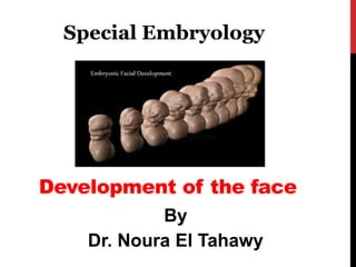 Development of the face 
By 
Dr. Noura El Tahawy 
Special Embryology  