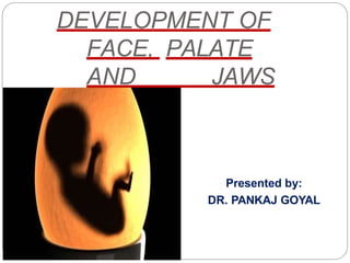 DEVELOPMENT OF
FACE, PALATE
AND JAWS
Presented by:
DR. PANKAJ GOYAL
 