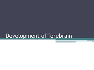 Development of forebrain
 