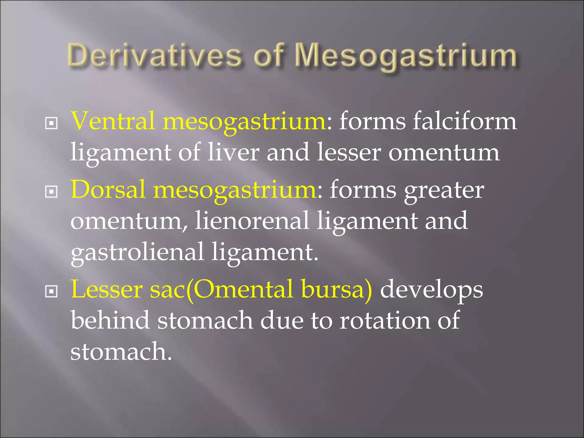  Ventral mesogastrium: forms falciform
ligament of liver and lesser omentum
 Dorsal mesogastrium: forms greater
omentum, lienorenal ligament and
gastrolienal ligament.
 Lesser sac(Omental bursa) develops
behind stomach due to rotation of
stomach.
 