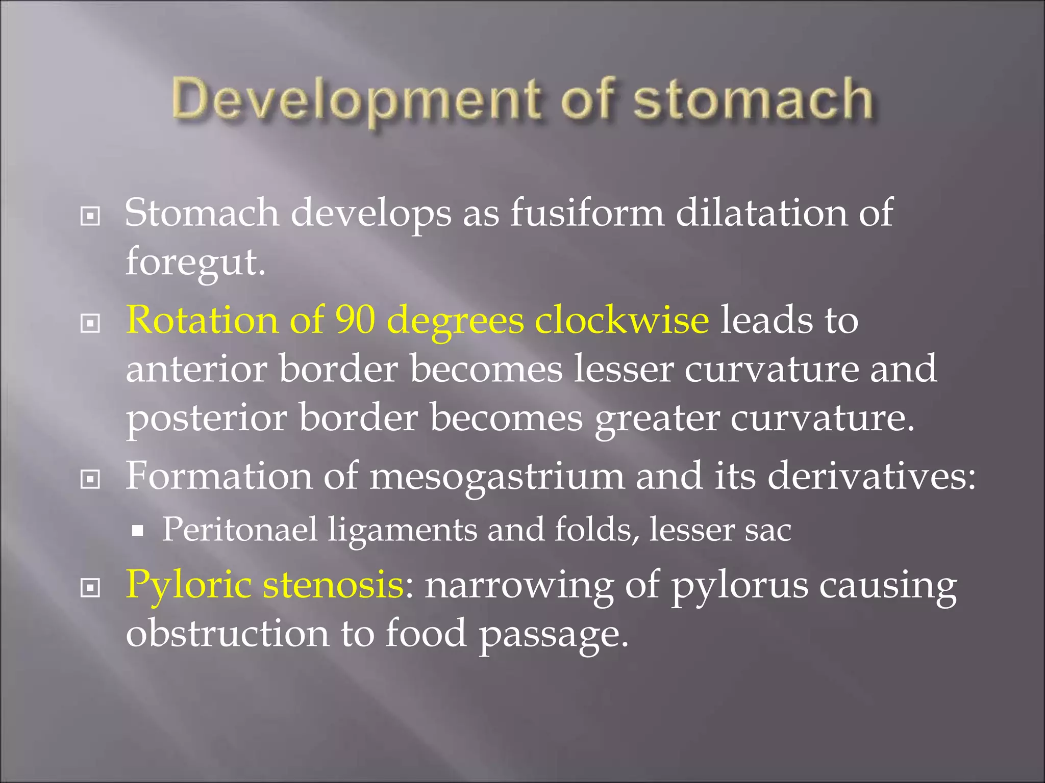  Stomach develops as fusiform dilatation of
foregut.
 Rotation of 90 degrees clockwise leads to
anterior border becomes lesser curvature and
posterior border becomes greater curvature.
 Formation of mesogastrium and its derivatives:
 Peritonael ligaments and folds, lesser sac
 Pyloric stenosis: narrowing of pylorus causing
obstruction to food passage.
 