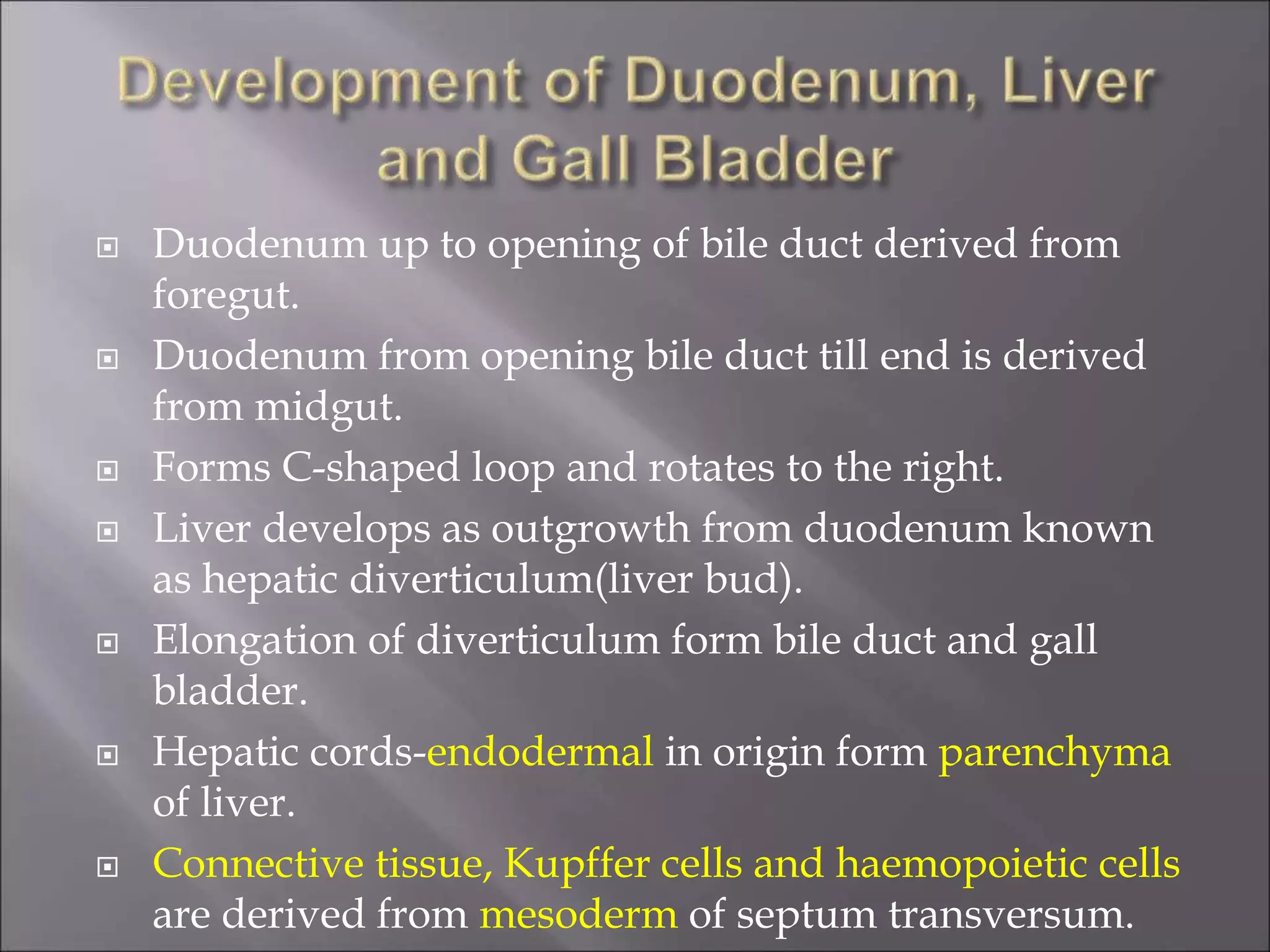  Duodenum up to opening of bile duct derived from
foregut.
 Duodenum from opening bile duct till end is derived
from midgut.
 Forms C-shaped loop and rotates to the right.
 Liver develops as outgrowth from duodenum known
as hepatic diverticulum(liver bud).
 Elongation of diverticulum form bile duct and gall
bladder.
 Hepatic cords-endodermal in origin form parenchyma
of liver.
 Connective tissue, Kupffer cells and haemopoietic cells
are derived from mesoderm of septum transversum.
 