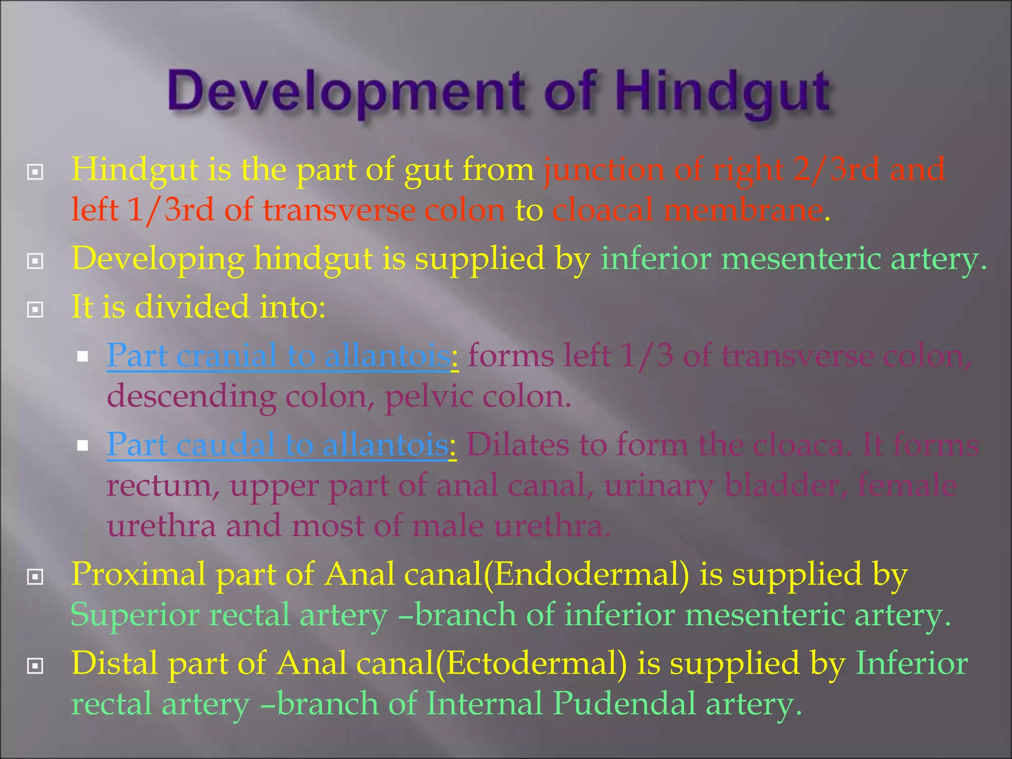  Hindgut is the part of gut from junction of right 2/3rd and
left 1/3rd of transverse colon to cloacal membrane.
 Developing hindgut is supplied by inferior mesenteric artery.
 It is divided into:
 Part cranial to allantois: forms left 1/3 of transverse colon,
descending colon, pelvic colon.
 Part caudal to allantois: Dilates to form the cloaca. It forms
rectum, upper part of anal canal, urinary bladder, female
urethra and most of male urethra.
 Proximal part of Anal canal(Endodermal) is supplied by
Superior rectal artery –branch of inferior mesenteric artery.
 Distal part of Anal canal(Ectodermal) is supplied by Inferior
rectal artery –branch of Internal Pudendal artery.
 