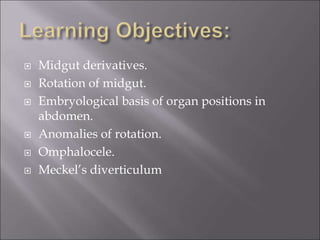 Midgut Rotation Embryo Development of FOREGUT MIDGUT AND HINDGUT.ppt