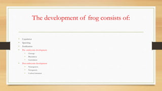 The development of frog consists of:
• Copulation
• Spawning
• Fertilization
• Pre- embryonic development
• Cleavage
• Blastulation
• Gastrulation
• Post embryonic development
• Neurogenesis
• Notogenesis
• Coelom formation
 