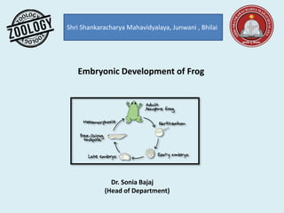 Shri Shankaracharya Mahavidyalaya, Junwani , Bhilai
Dr. Sonia Bajaj
(Head of Department)
Embryonic Development of Frog
 