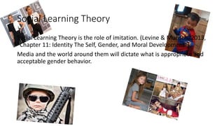 Development of gender roles | PPTX