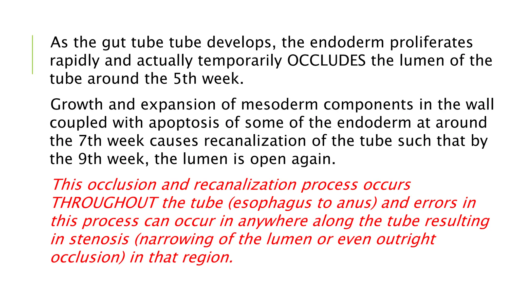 As the gut tube tube develops, the endoderm proliferates
rapidly and actually temporarily OCCLUDES the lumen of the
tube around the 5th week.
Growth and expansion of mesoderm components in the wall
coupled with apoptosis of some of the endoderm at around
the 7th week causes recanalization of the tube such that by
the 9th week, the lumen is open again.
This occlusion and recanalization process occurs
THROUGHOUT the tube (esophagus to anus) and errors in
this process can occur in anywhere along the tube resulting
in stenosis (narrowing of the lumen or even outright
occlusion) in that region.
 