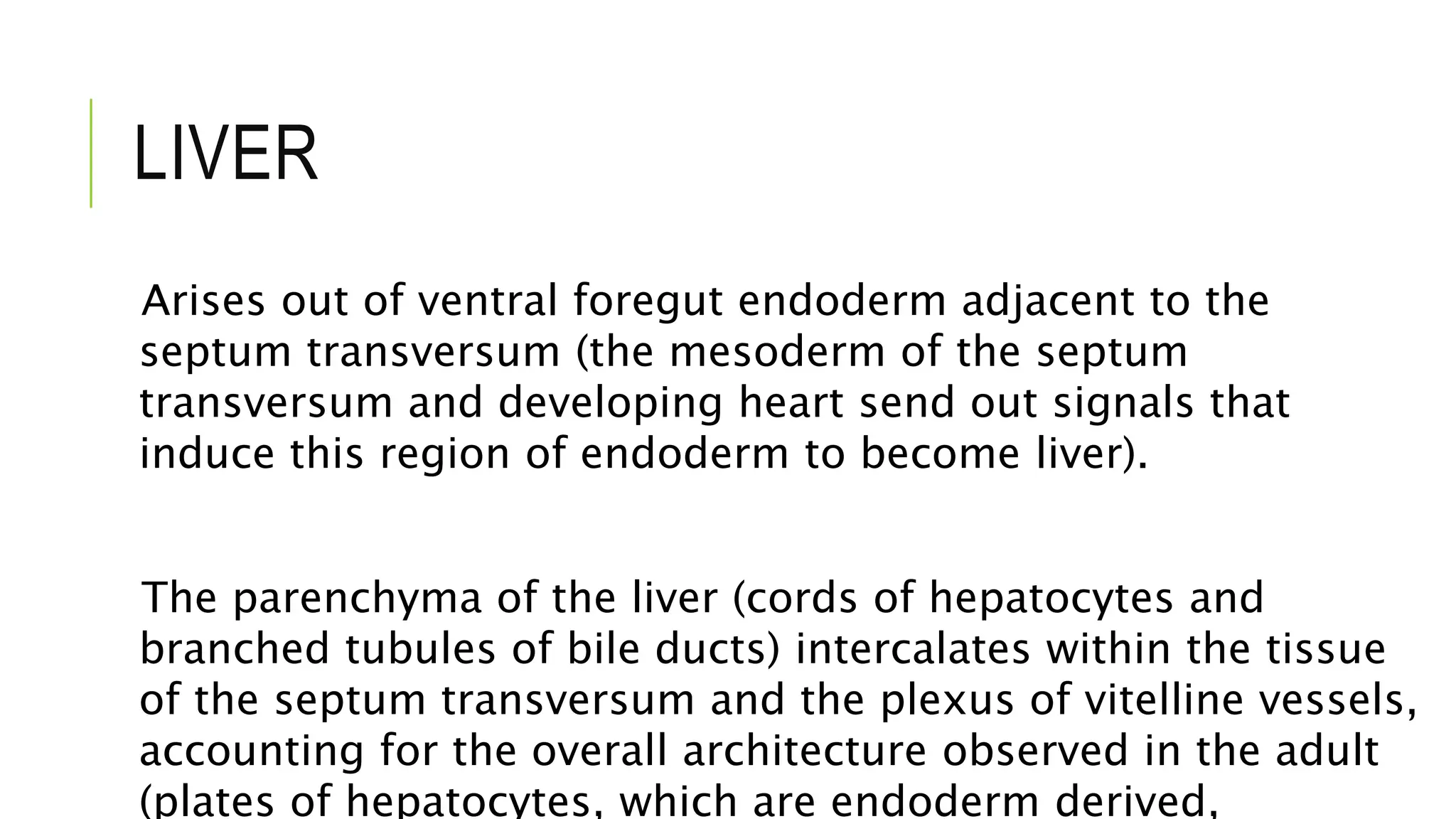 LIVER
Arises out of ventral foregut endoderm adjacent to the
septum transversum (the mesoderm of the septum
transversum and developing heart send out signals that
induce this region of endoderm to become liver).
The parenchyma of the liver (cords of hepatocytes and
branched tubules of bile ducts) intercalates within the tissue
of the septum transversum and the plexus of vitelline vessels,
accounting for the overall architecture observed in the adult
(plates of hepatocytes, which are endoderm derived,
 