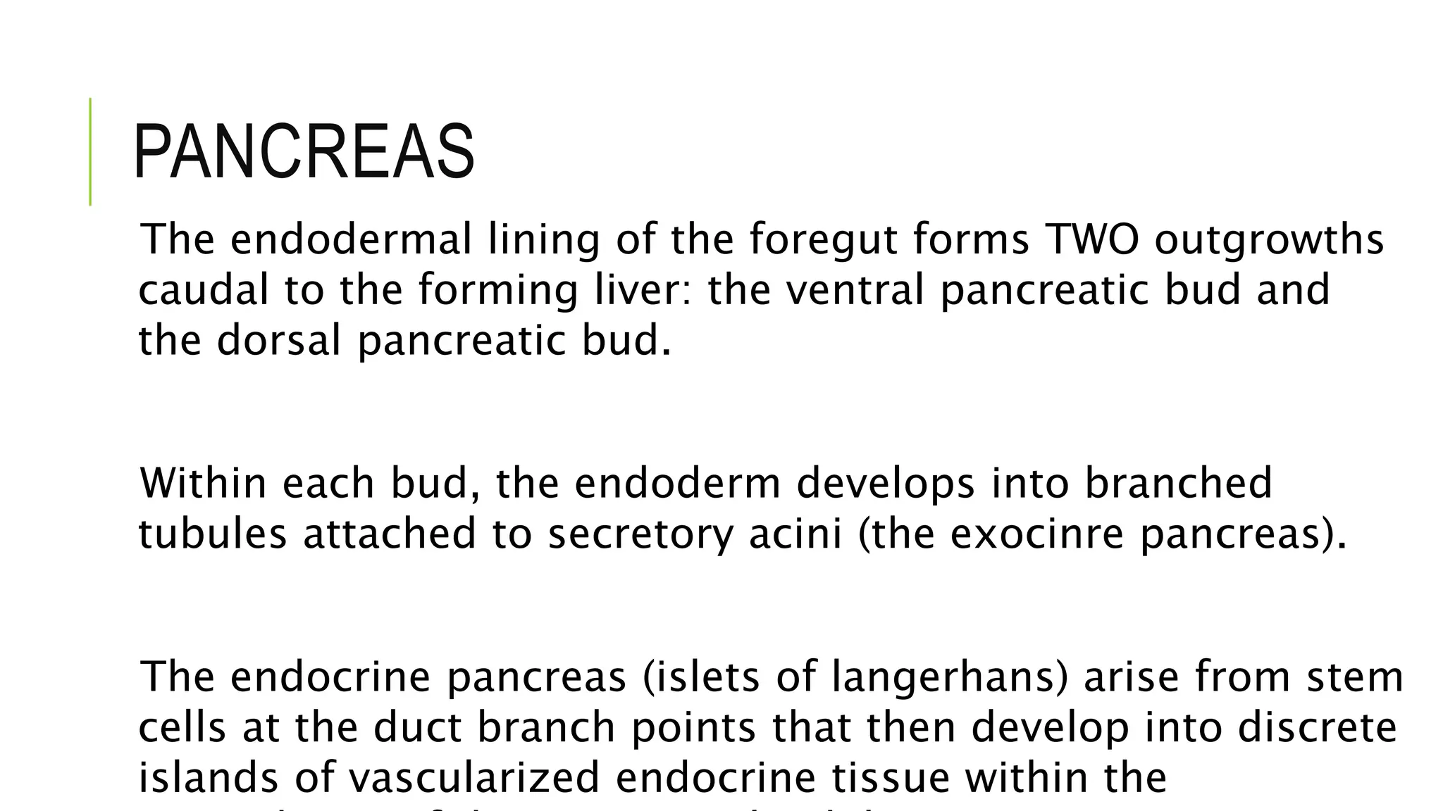 PANCREAS
The endodermal lining of the foregut forms TWO outgrowths
caudal to the forming liver: the ventral pancreatic bud and
the dorsal pancreatic bud.
Within each bud, the endoderm develops into branched
tubules attached to secretory acini (the exocinre pancreas).
The endocrine pancreas (islets of langerhans) arise from stem
cells at the duct branch points that then develop into discrete
islands of vascularized endocrine tissue within the
 