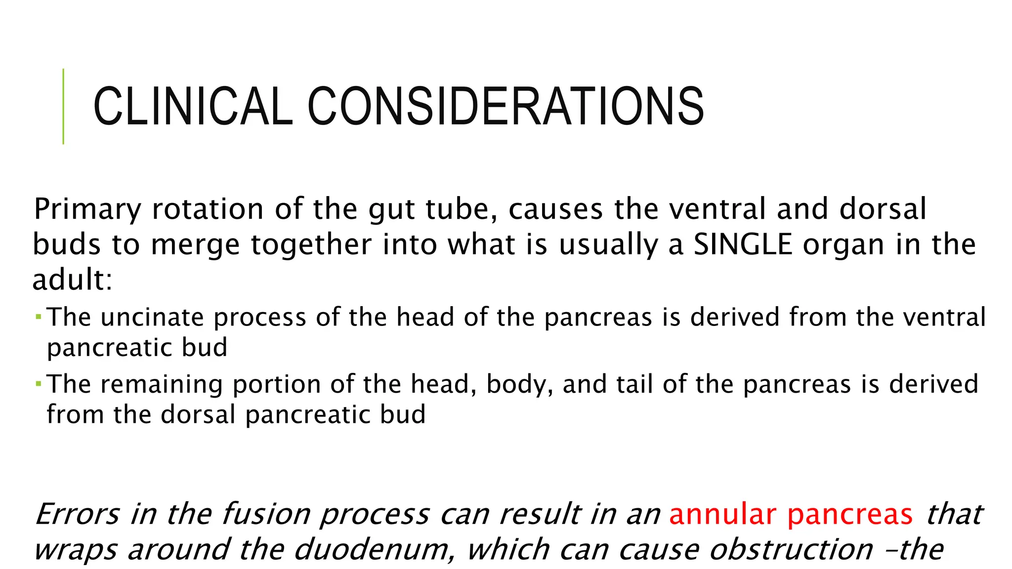 CLINICAL CONSIDERATIONS
Primary rotation of the gut tube, causes the ventral and dorsal
buds to merge together into what is usually a SINGLE organ in the
adult:
 The uncinate process of the head of the pancreas is derived from the ventral
pancreatic bud
 The remaining portion of the head, body, and tail of the pancreas is derived
from the dorsal pancreatic bud
Errors in the fusion process can result in an annular pancreas that
wraps around the duodenum, which can cause obstruction –the
 