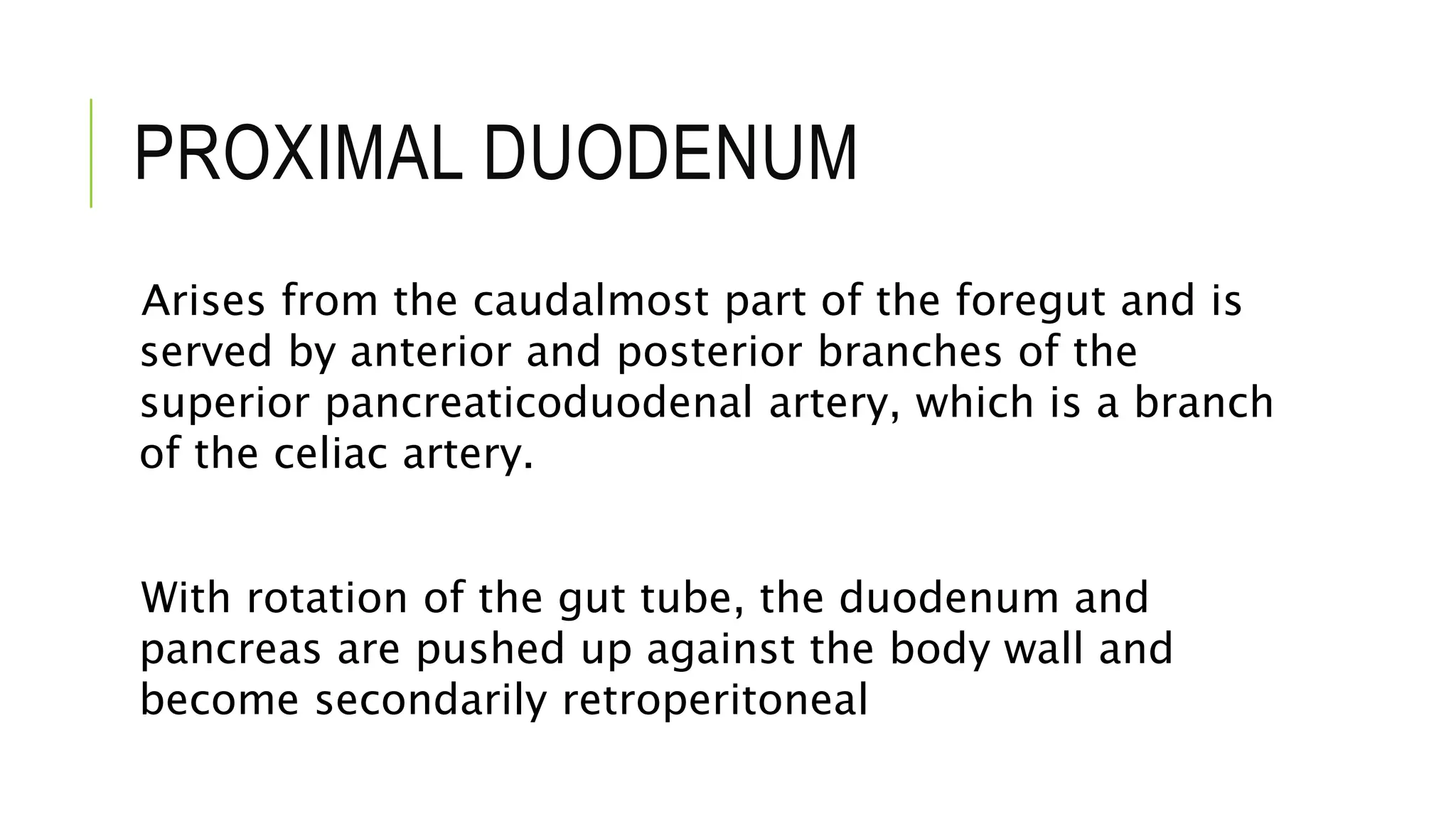 PROXIMAL DUODENUM
Arises from the caudalmost part of the foregut and is
served by anterior and posterior branches of the
superior pancreaticoduodenal artery, which is a branch
of the celiac artery.
With rotation of the gut tube, the duodenum and
pancreas are pushed up against the body wall and
become secondarily retroperitoneal
 