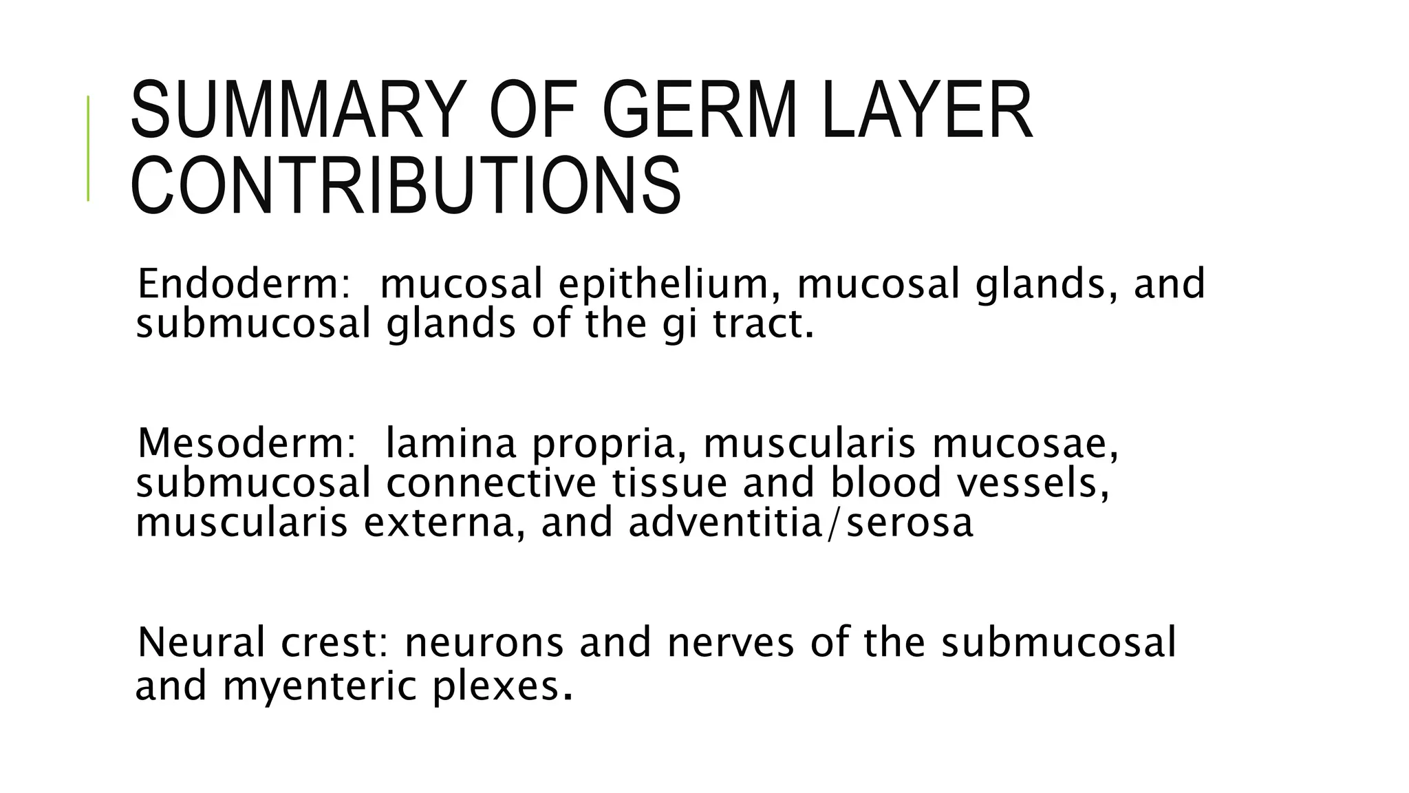 SUMMARY OF GERM LAYER
CONTRIBUTIONS
Endoderm: mucosal epithelium, mucosal glands, and
submucosal glands of the gi tract.
Mesoderm: lamina propria, muscularis mucosae,
submucosal connective tissue and blood vessels,
muscularis externa, and adventitia/serosa
Neural crest: neurons and nerves of the submucosal
and myenteric plexes.
 