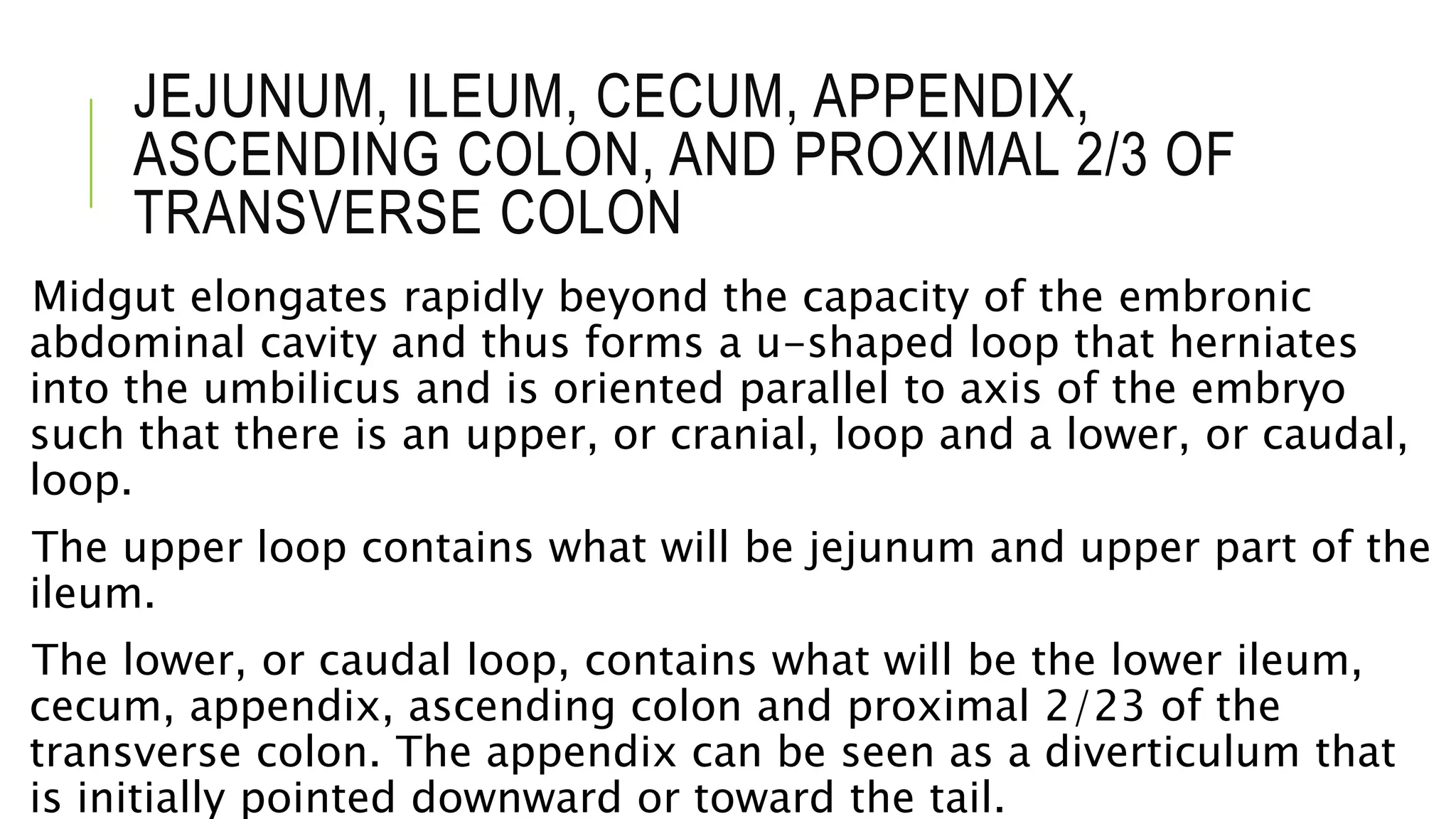 JEJUNUM, ILEUM, CECUM, APPENDIX,
ASCENDING COLON, AND PROXIMAL 2/3 OF
TRANSVERSE COLON
Midgut elongates rapidly beyond the capacity of the embronic
abdominal cavity and thus forms a u-shaped loop that herniates
into the umbilicus and is oriented parallel to axis of the embryo
such that there is an upper, or cranial, loop and a lower, or caudal,
loop.
The upper loop contains what will be jejunum and upper part of the
ileum.
The lower, or caudal loop, contains what will be the lower ileum,
cecum, appendix, ascending colon and proximal 2/23 of the
transverse colon. The appendix can be seen as a diverticulum that
is initially pointed downward or toward the tail.
 