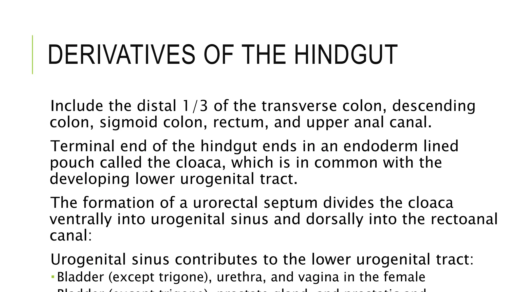 DERIVATIVES OF THE HINDGUT
Include the distal 1/3 of the transverse colon, descending
colon, sigmoid colon, rectum, and upper anal canal.
Terminal end of the hindgut ends in an endoderm lined
pouch called the cloaca, which is in common with the
developing lower urogenital tract.
The formation of a urorectal septum divides the cloaca
ventrally into urogenital sinus and dorsally into the rectoanal
canal:
Urogenital sinus contributes to the lower urogenital tract:
 Bladder (except trigone), urethra, and vagina in the female
 