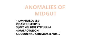 ANOMALIES OF
MIDGUT
1]OMPHALOCELE
2]GASTROSCHISIS
3]MECKEL DIVERTICULUM
4]MALROTATION
5]DUODENAL ATRESIA/STENOSIS
 
