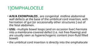 1]OMPHALOCELE
• A/K/A EXOMPHALOS , are congenital midline abdominal
wall defects at the base of the umbilical cord insertion, with
herniation of gut [or occasionally other structures ] out of
the fetal abdomen.
• USG:- multiple bowel loops (and on occasion liver) herniate
into a membrane-covered defect (i.e. not free-flowing) and
are usually seen as hyperechogenic content (non-fluid filled
bowel)
• the umbilical cord insertion is directly into the omphalocele
 
